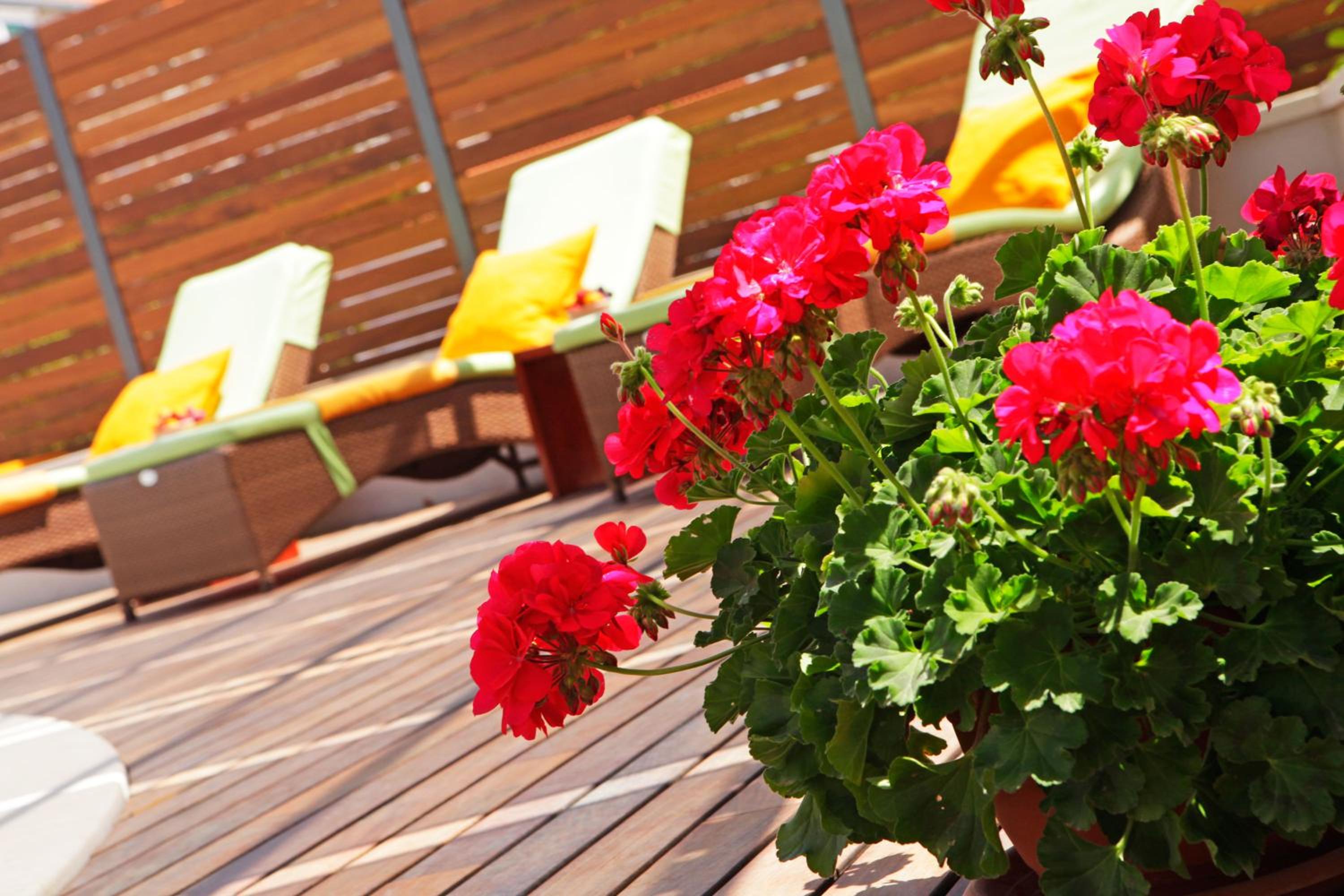 Hotel Apartments Diana - NEW heated pool - Image 1