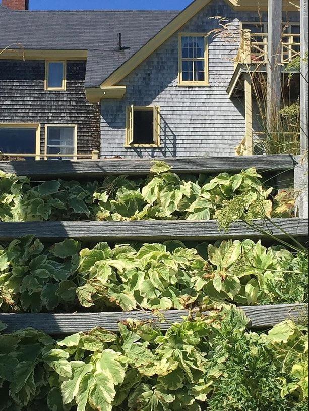 Acadia Bay Inn