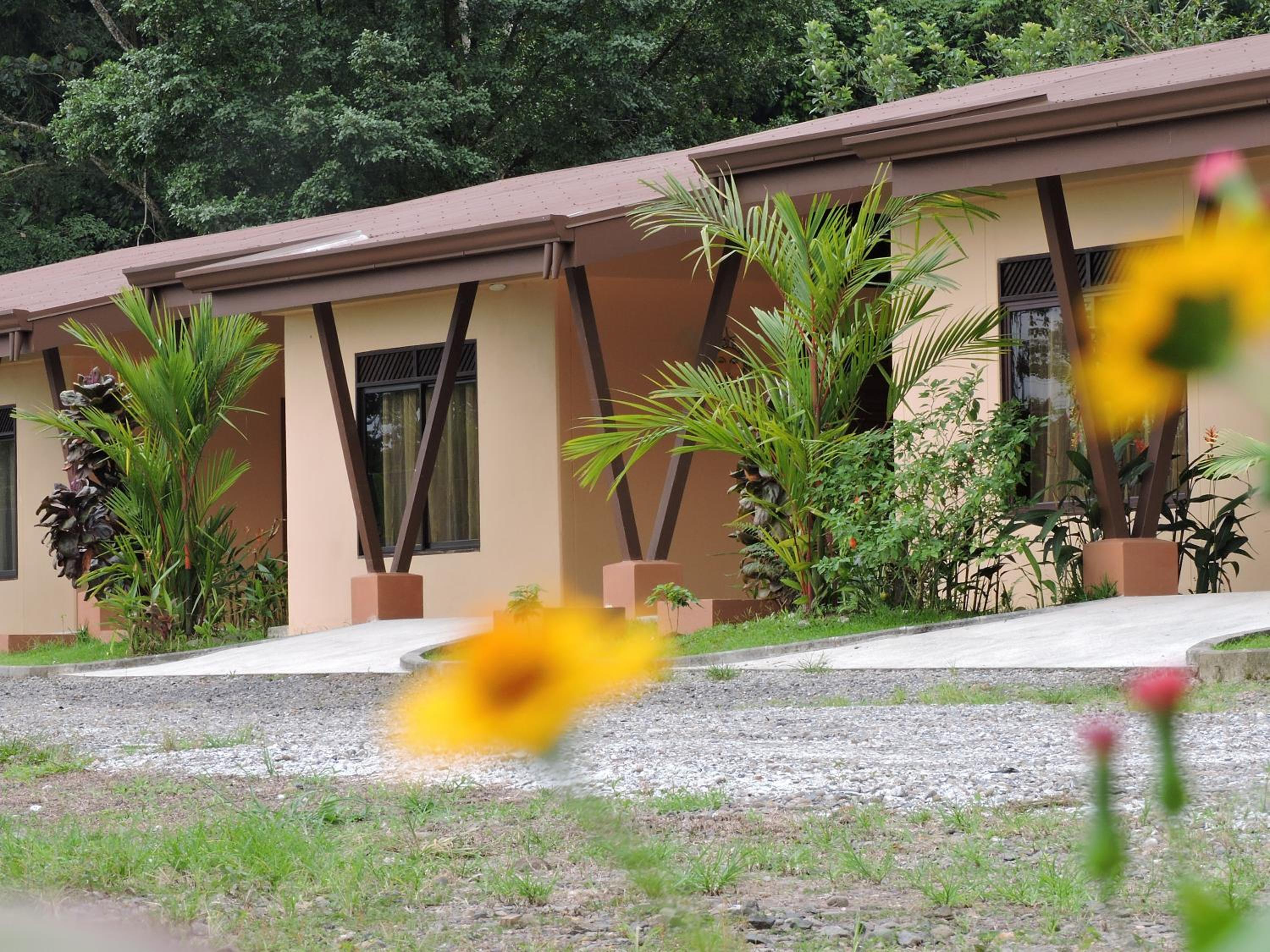 Aunty Arenal Lodge