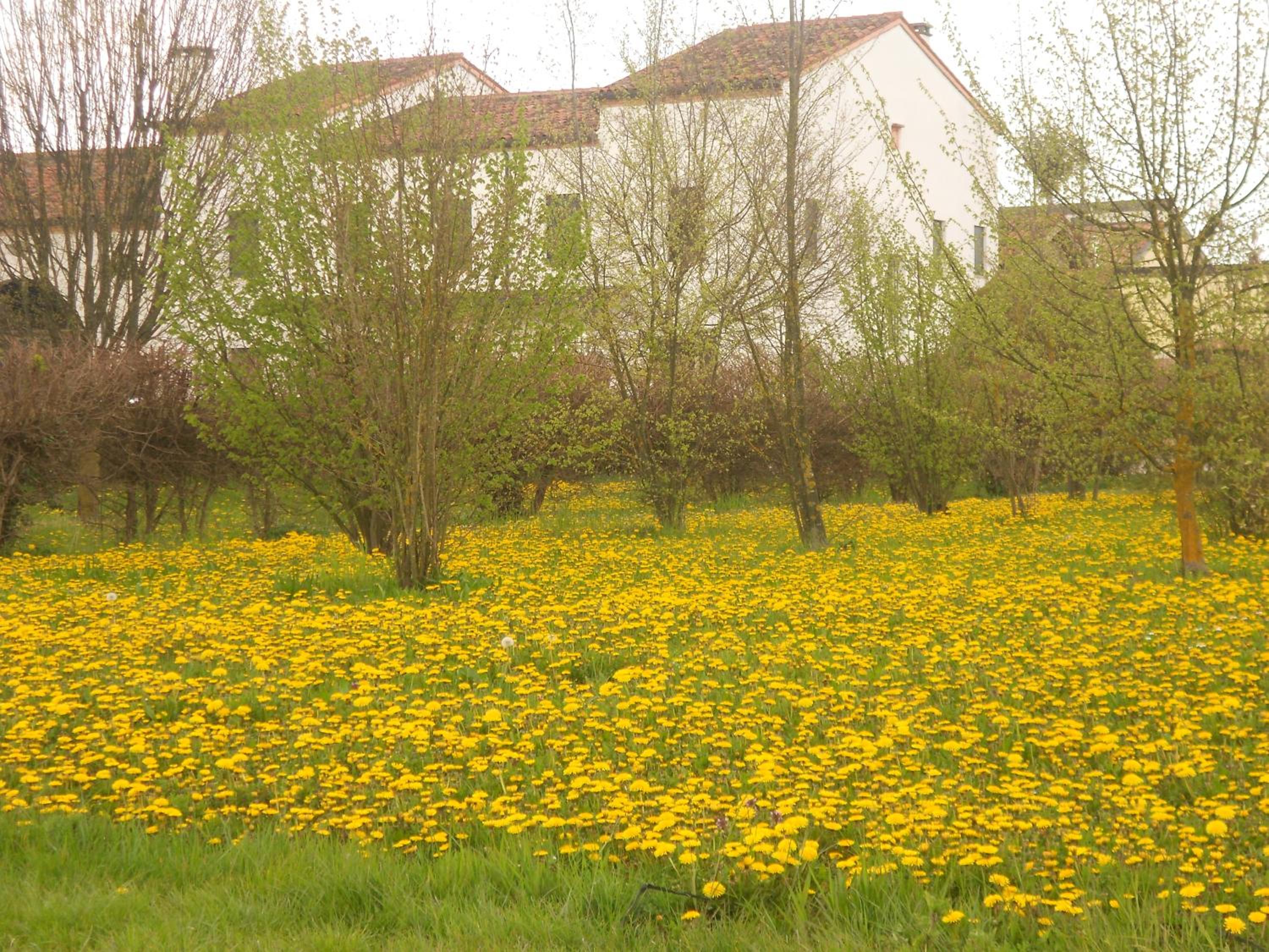 Villa Gaudio photo 2