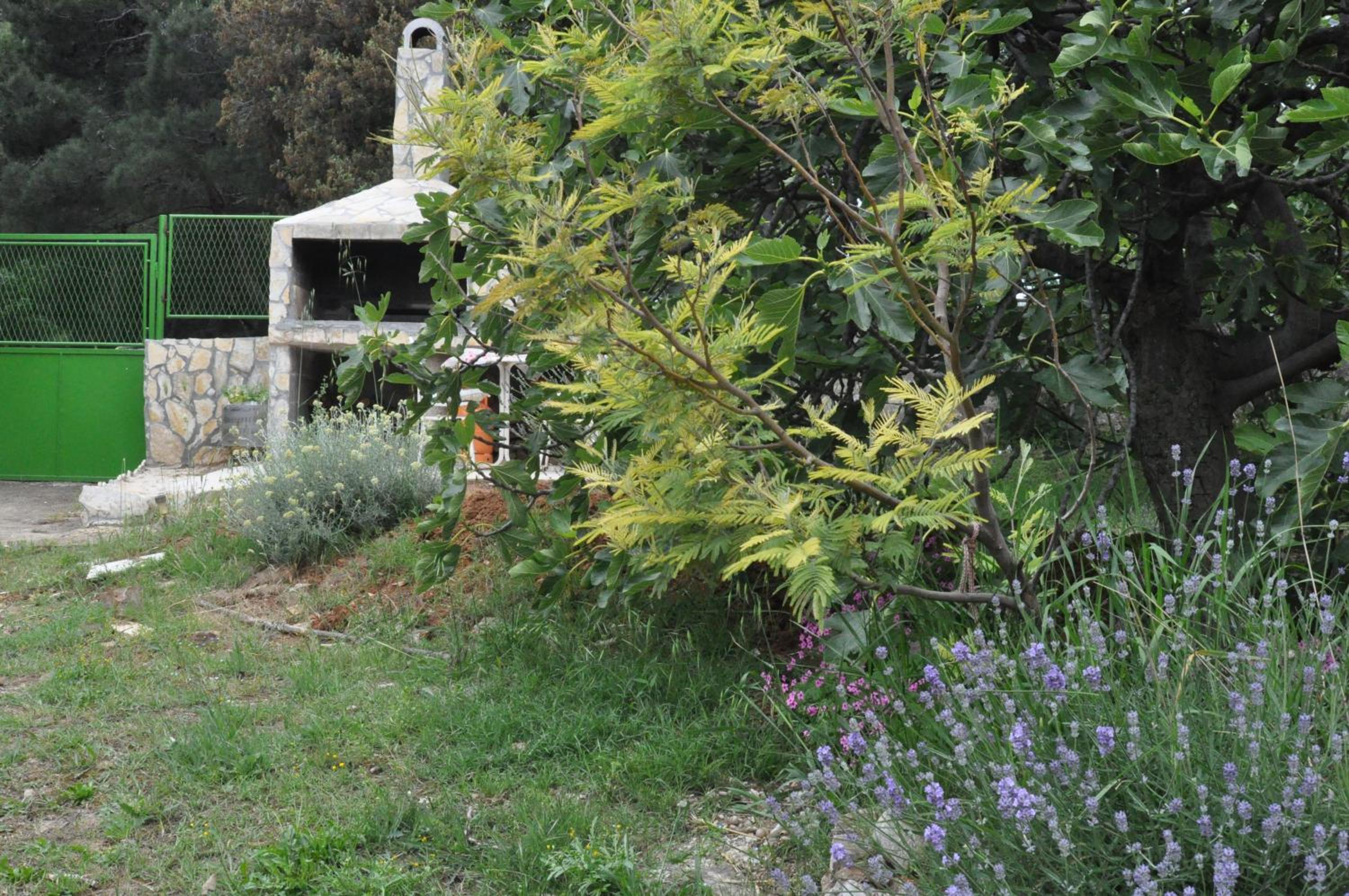 Photo 49