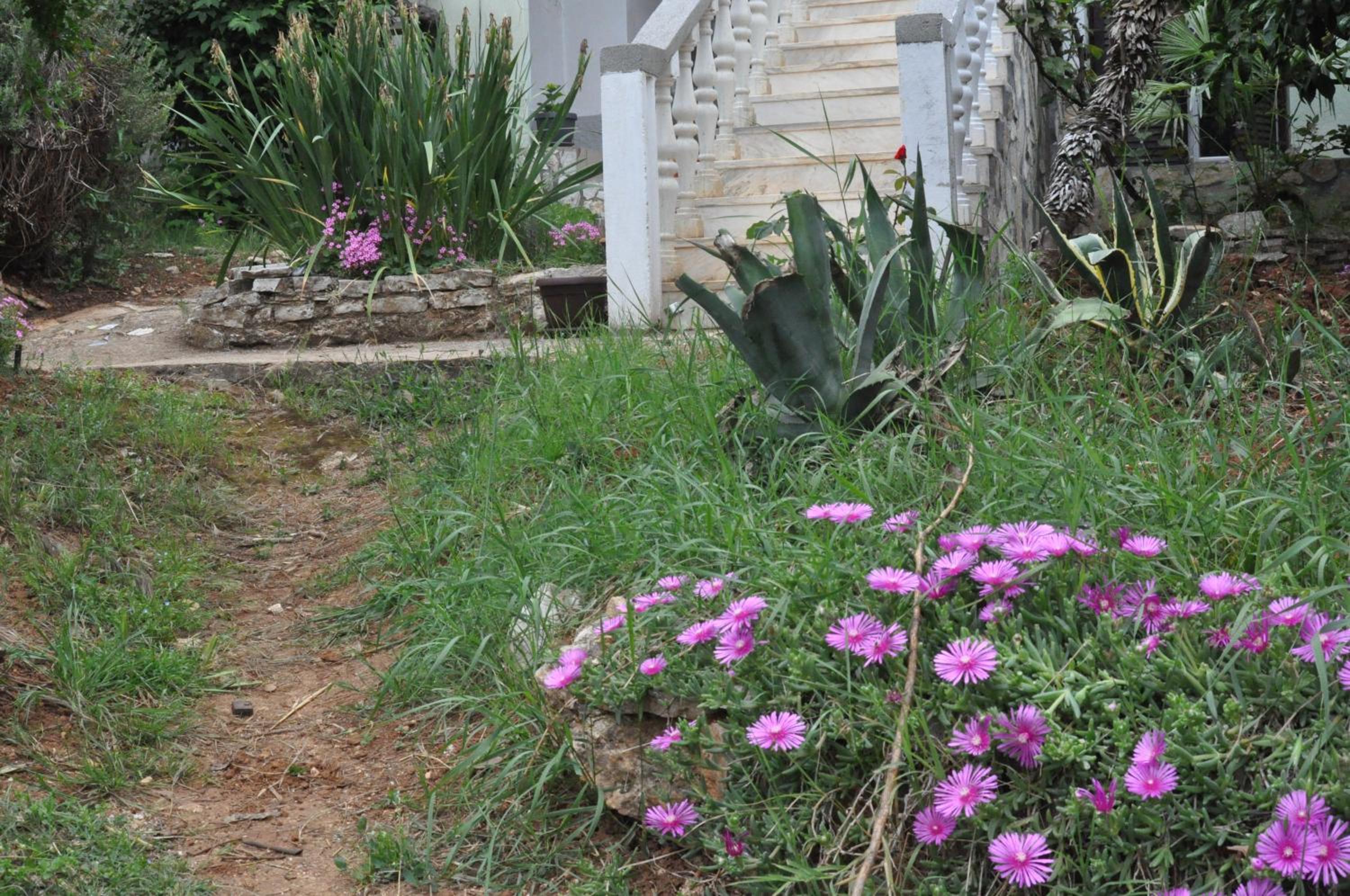Photo 47