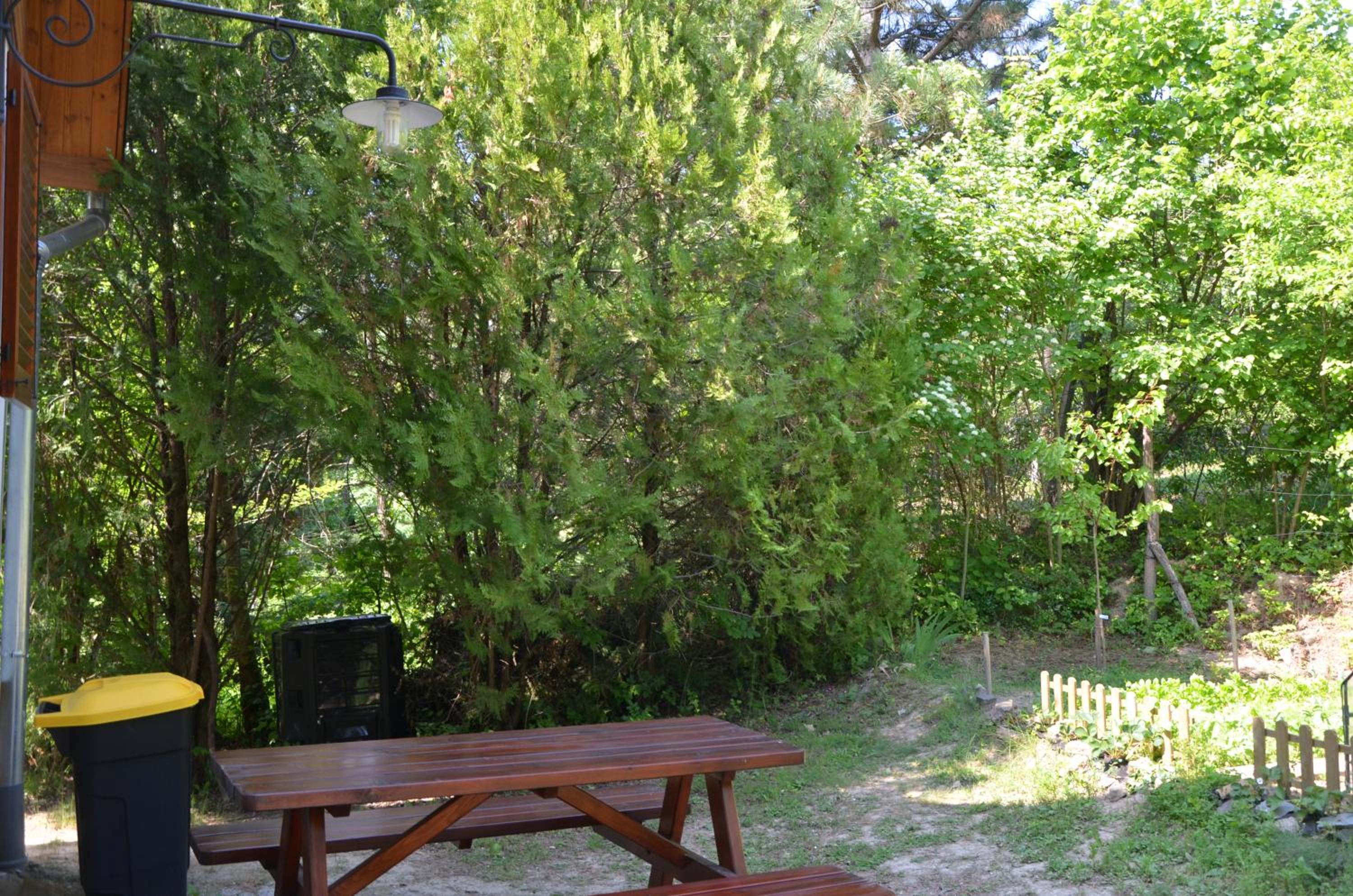 Photo 7
