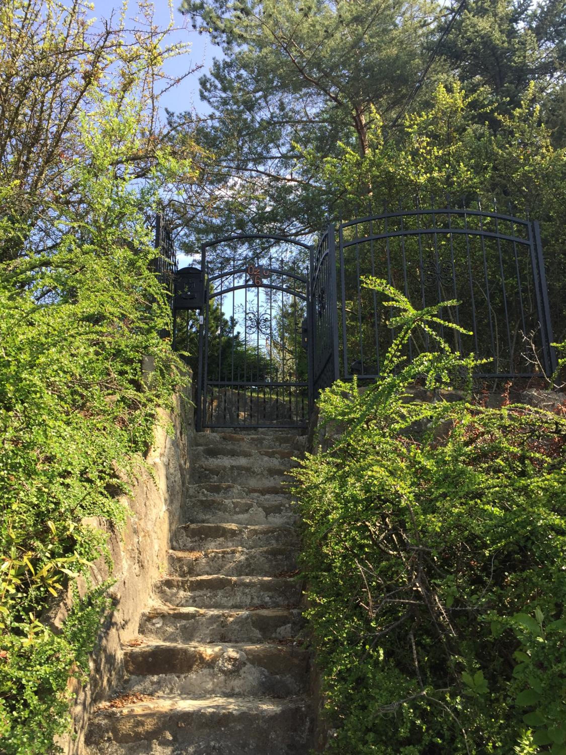 Photo 8