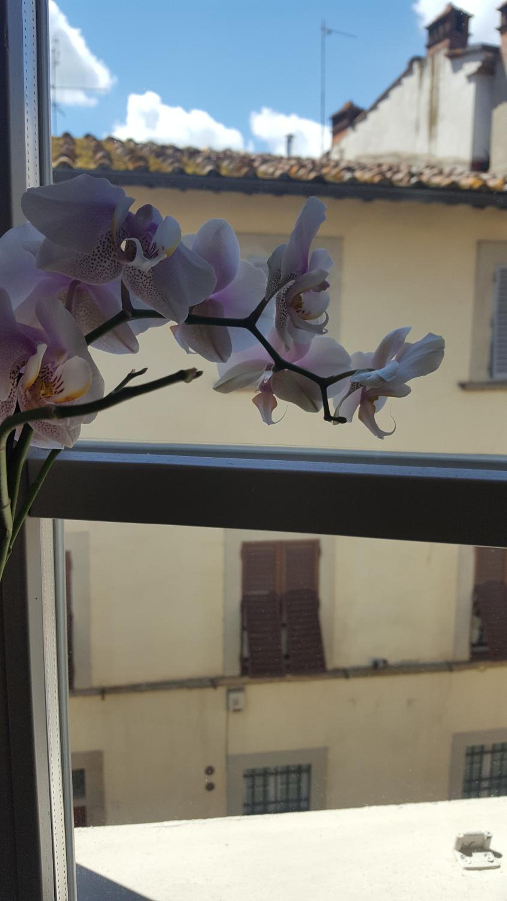 Sweet Tuscany