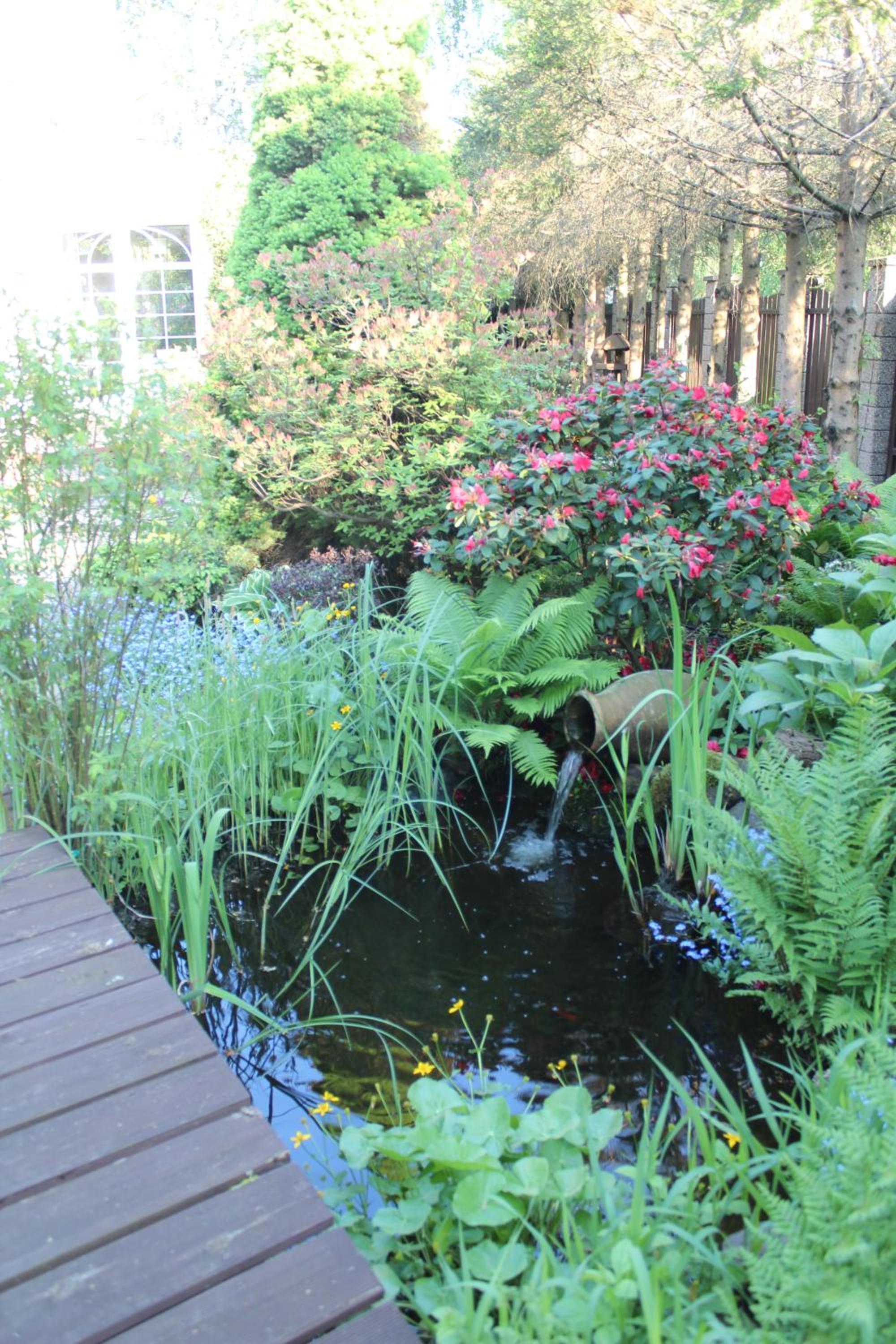 Photo 42