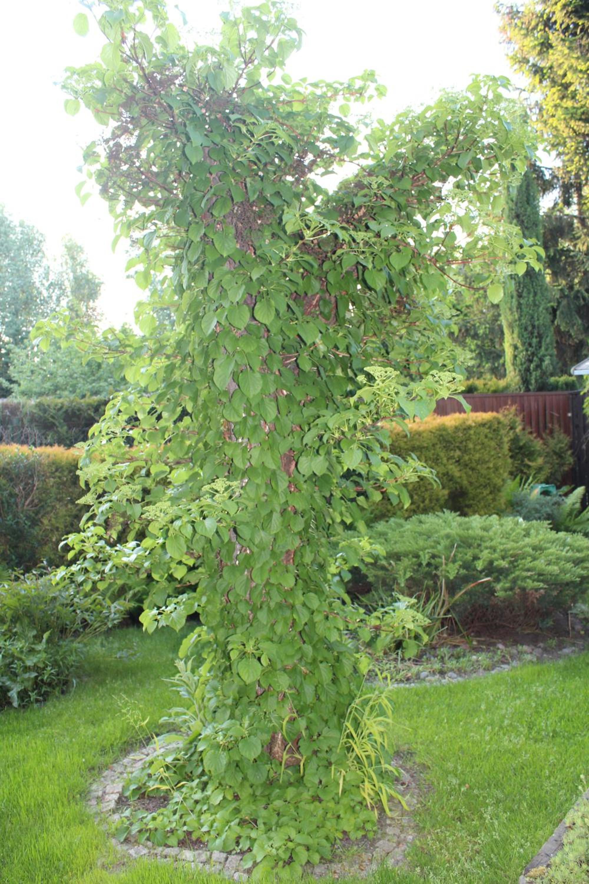 Photo 47