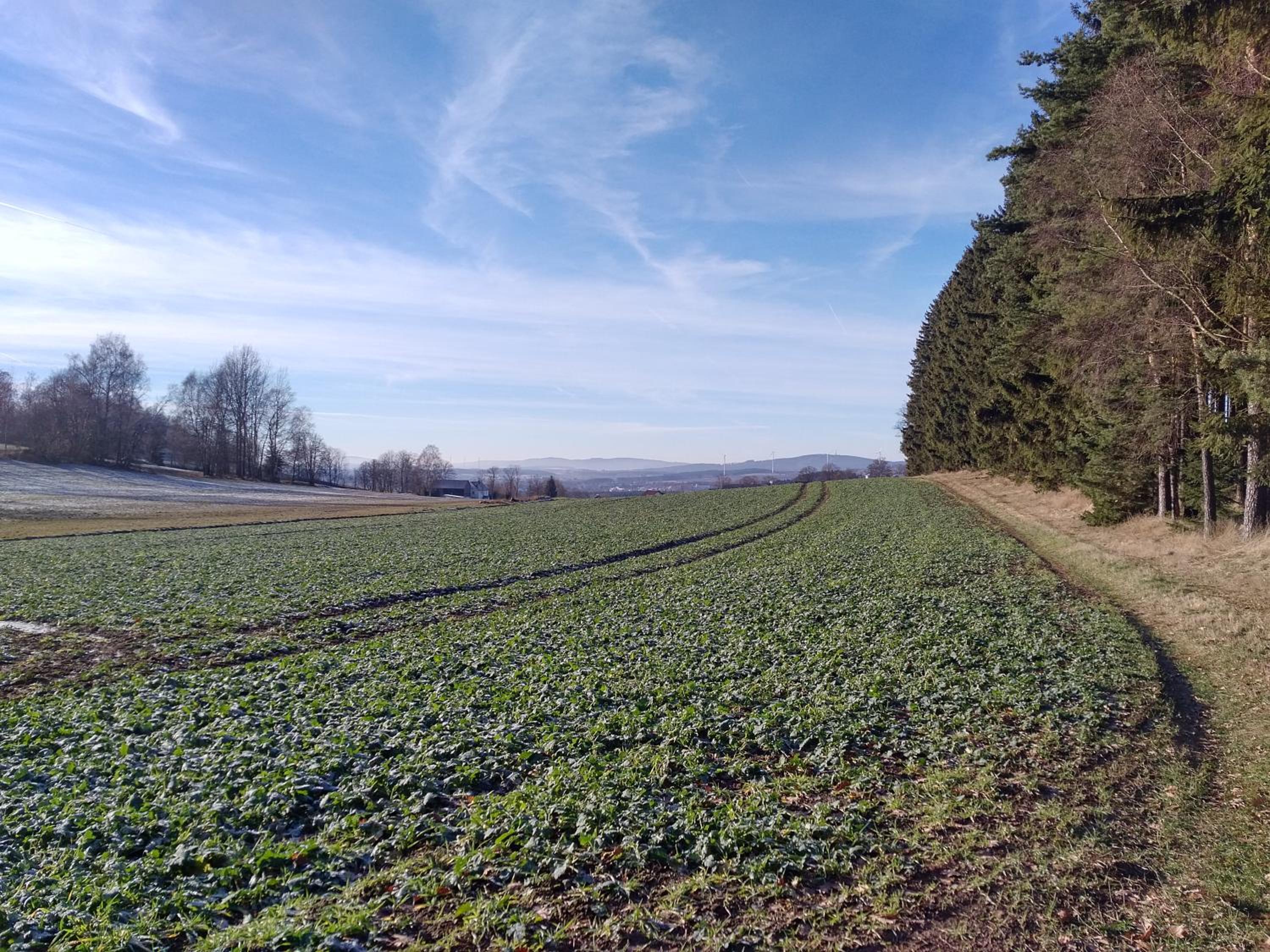 Haus Annemarie