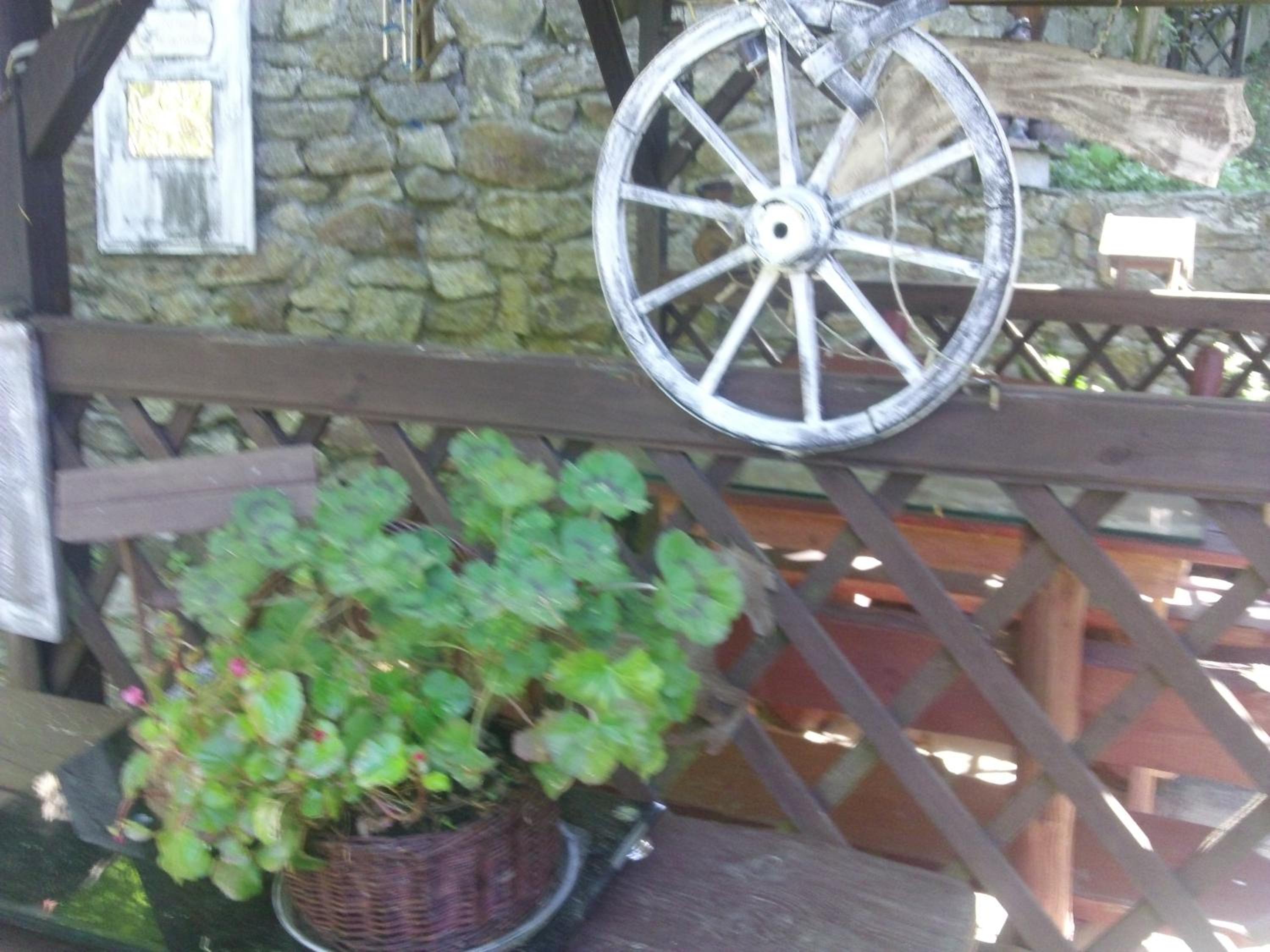 Photo 28
