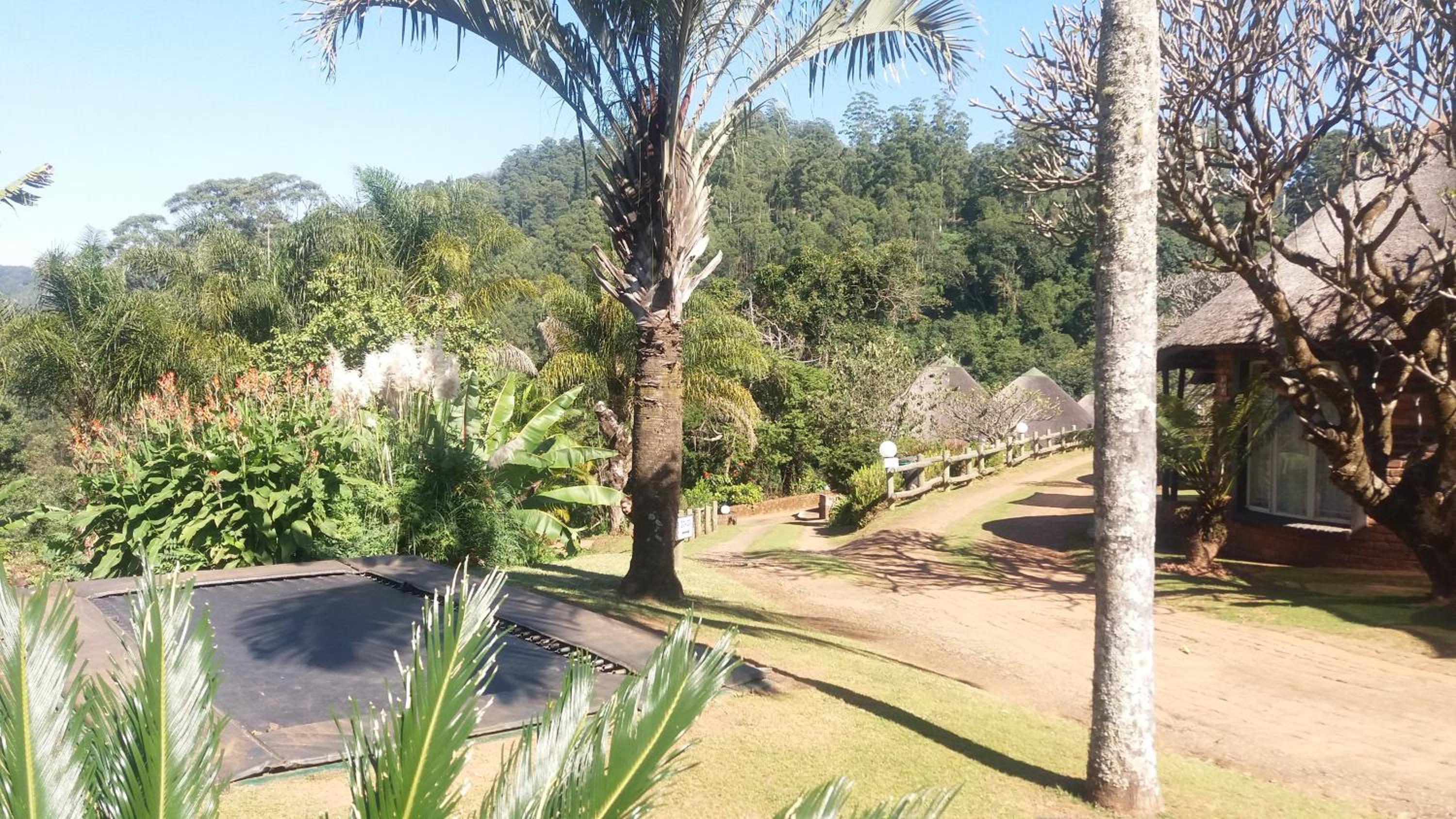 Magoebaskloof Mountain Lodge