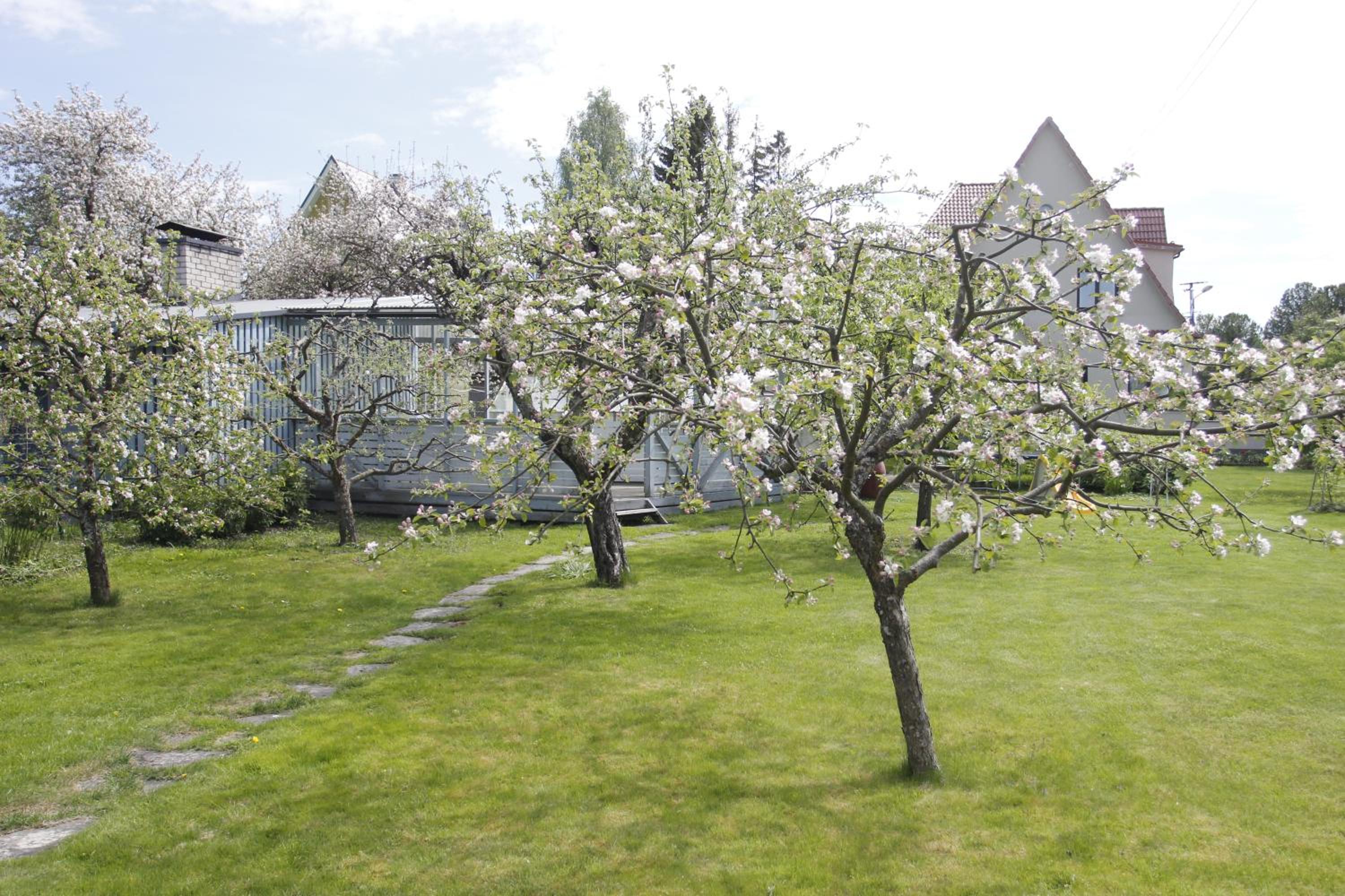 Villa Marleen view 2