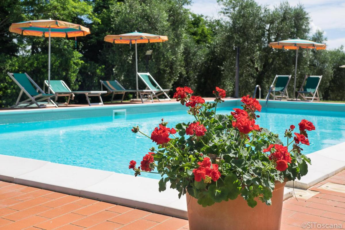 Agriturismo Terre di Toscana
