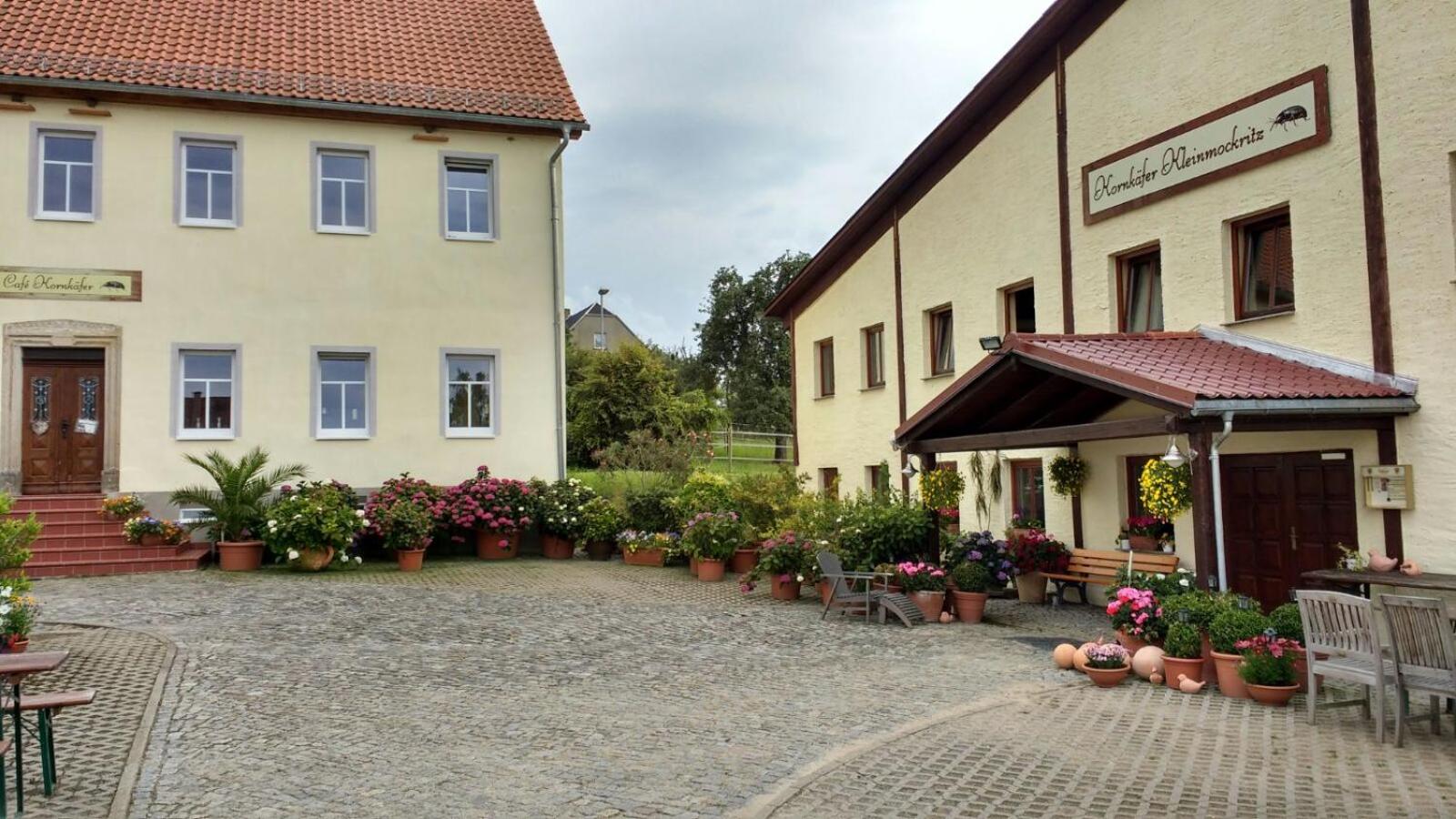 Kornkäfer Kleinmockritz