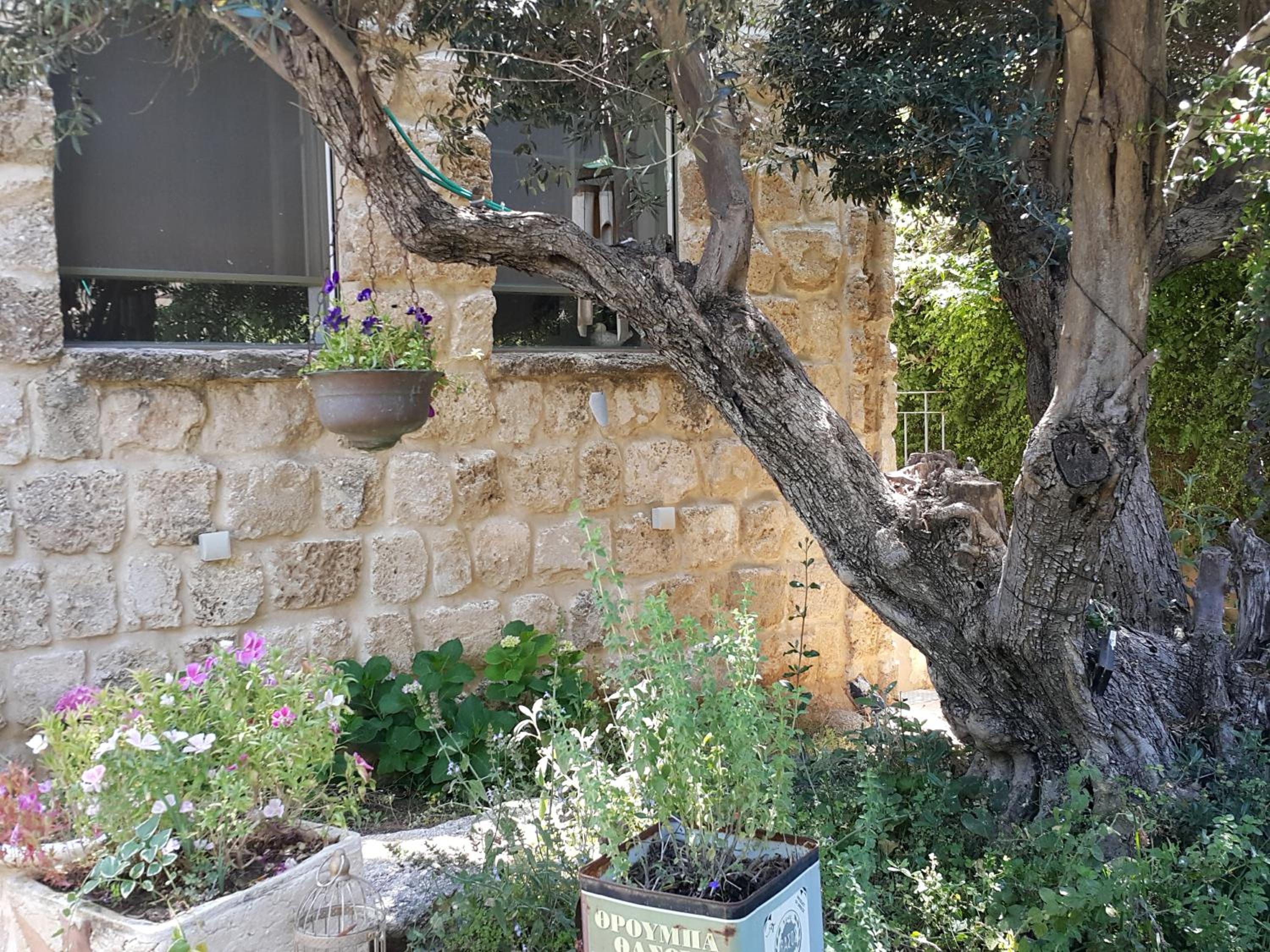 Photo 26