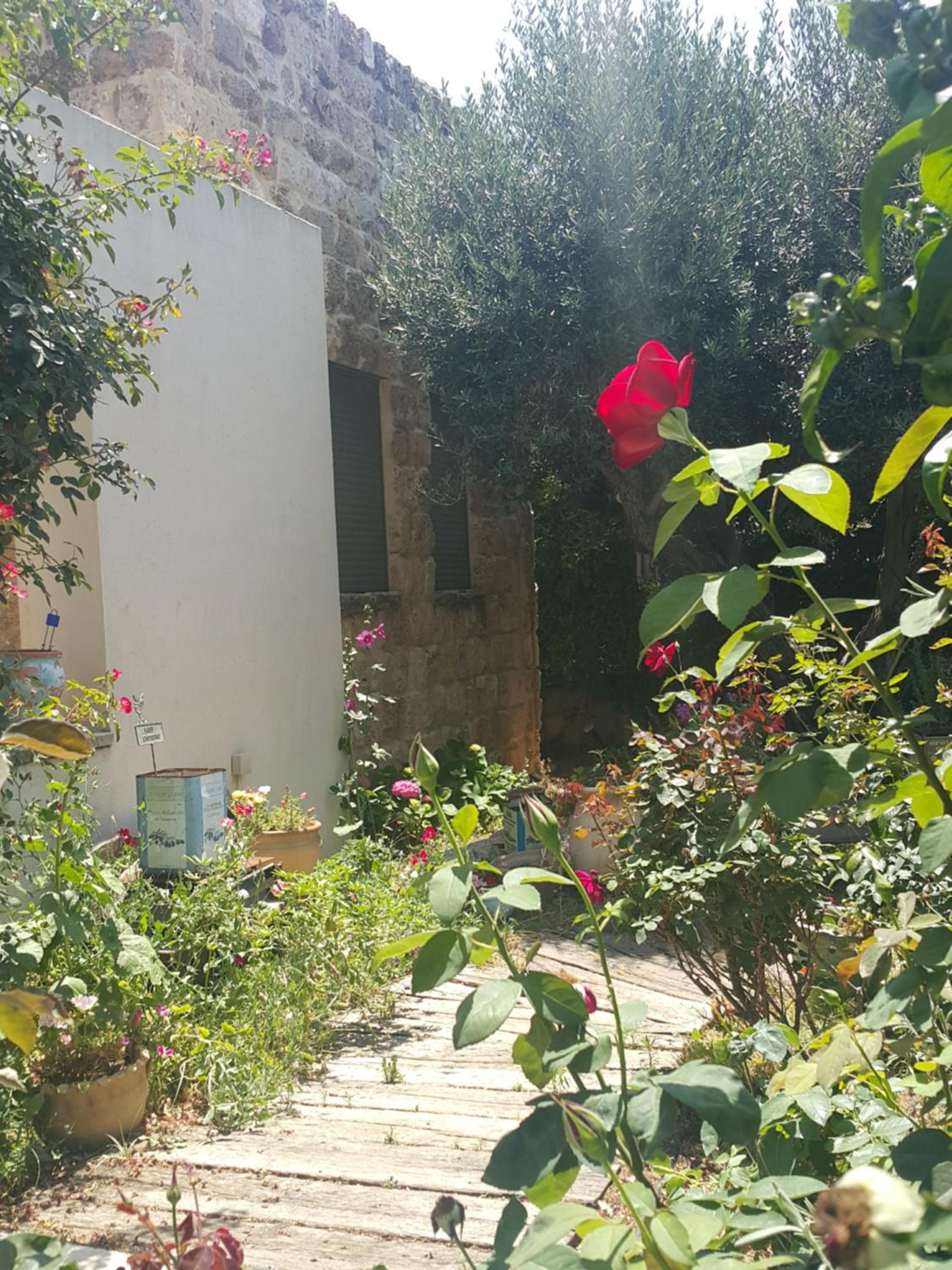 The House of Taly & Erez view 3