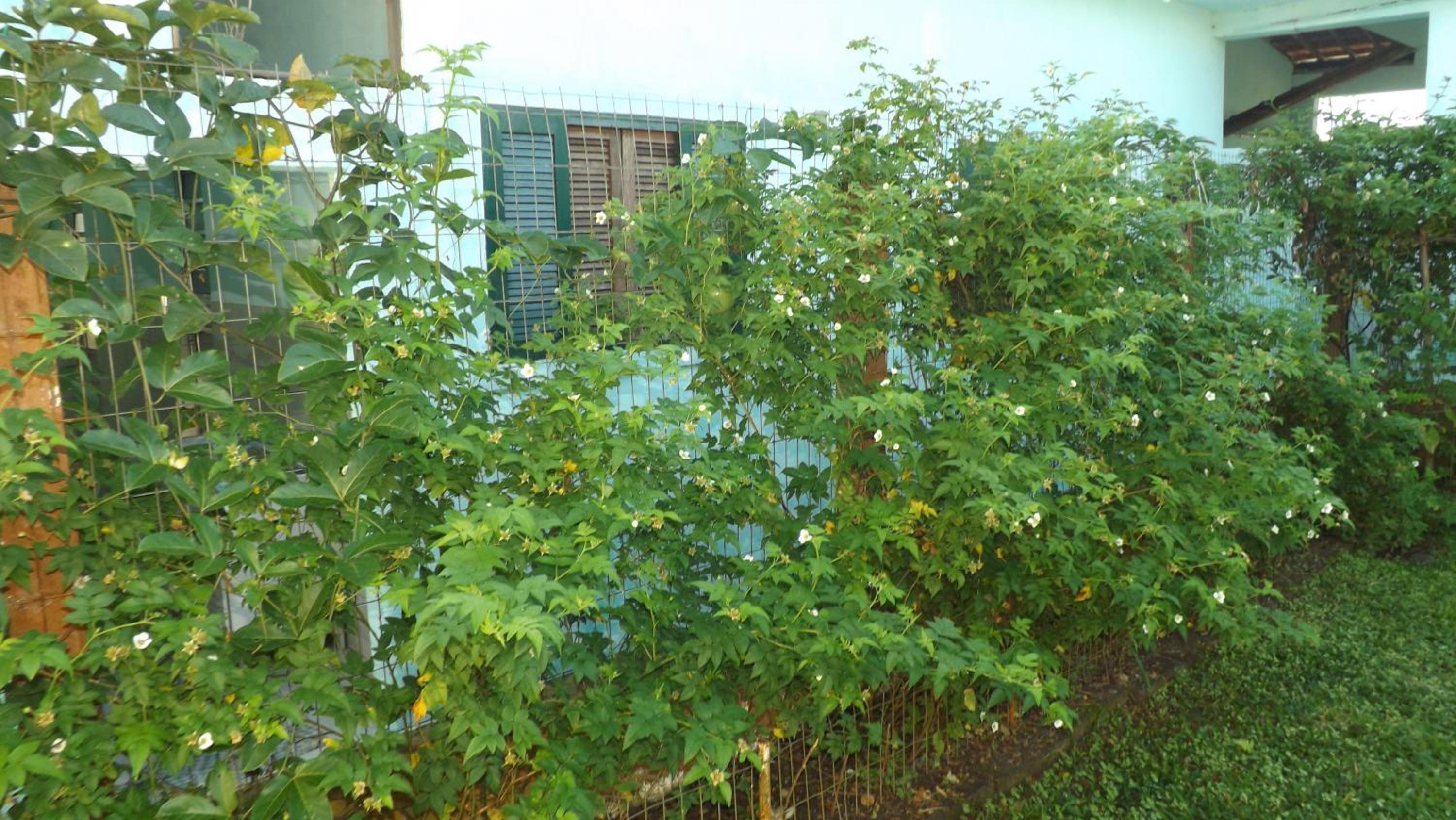 Pousada Rural Ouro Verde