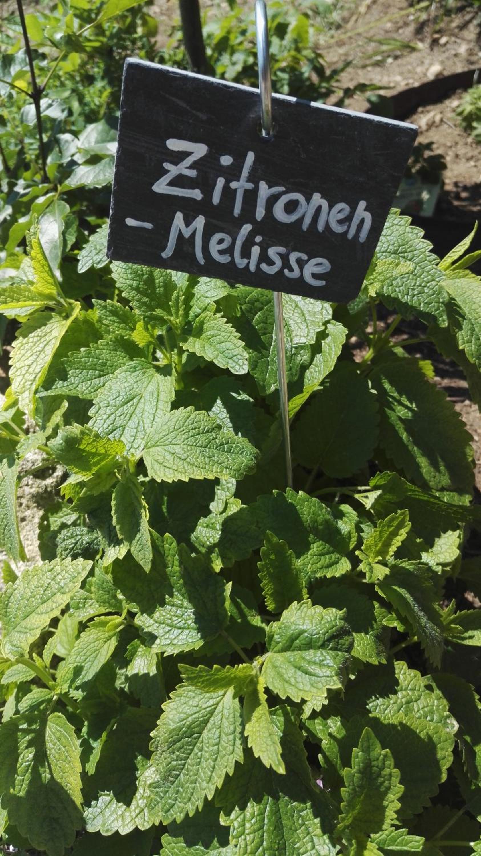 Kerschbamerhof im Süden Südtirols