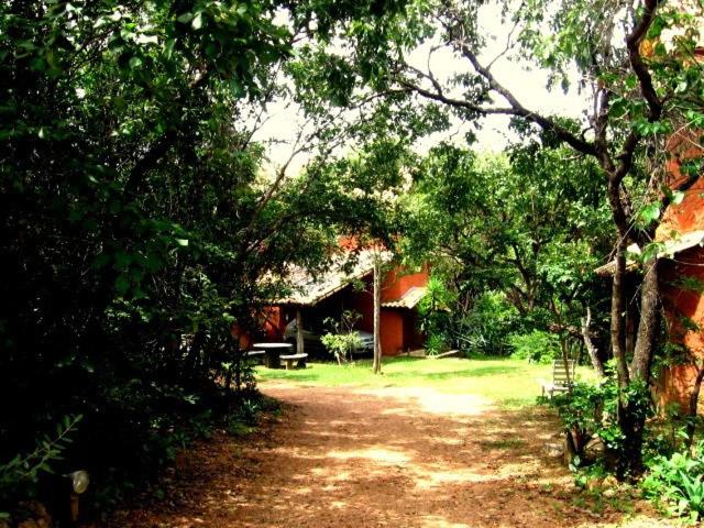 Photo 33