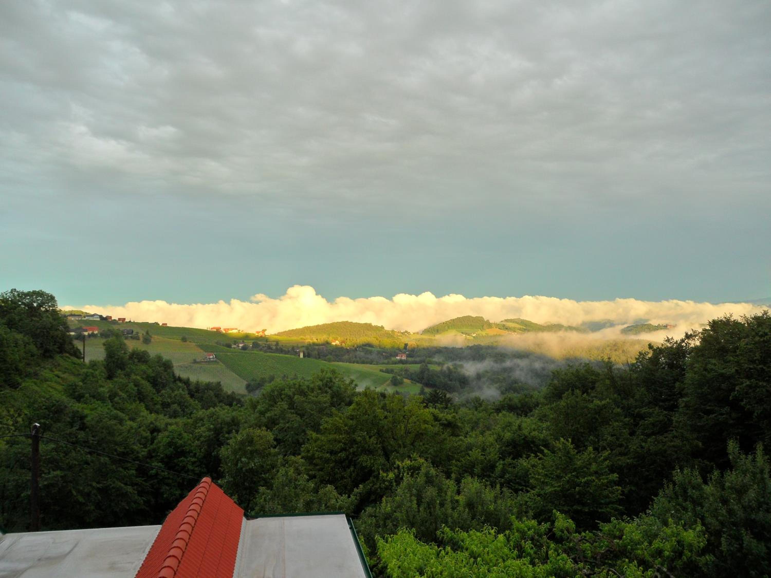 Weingut Stoff