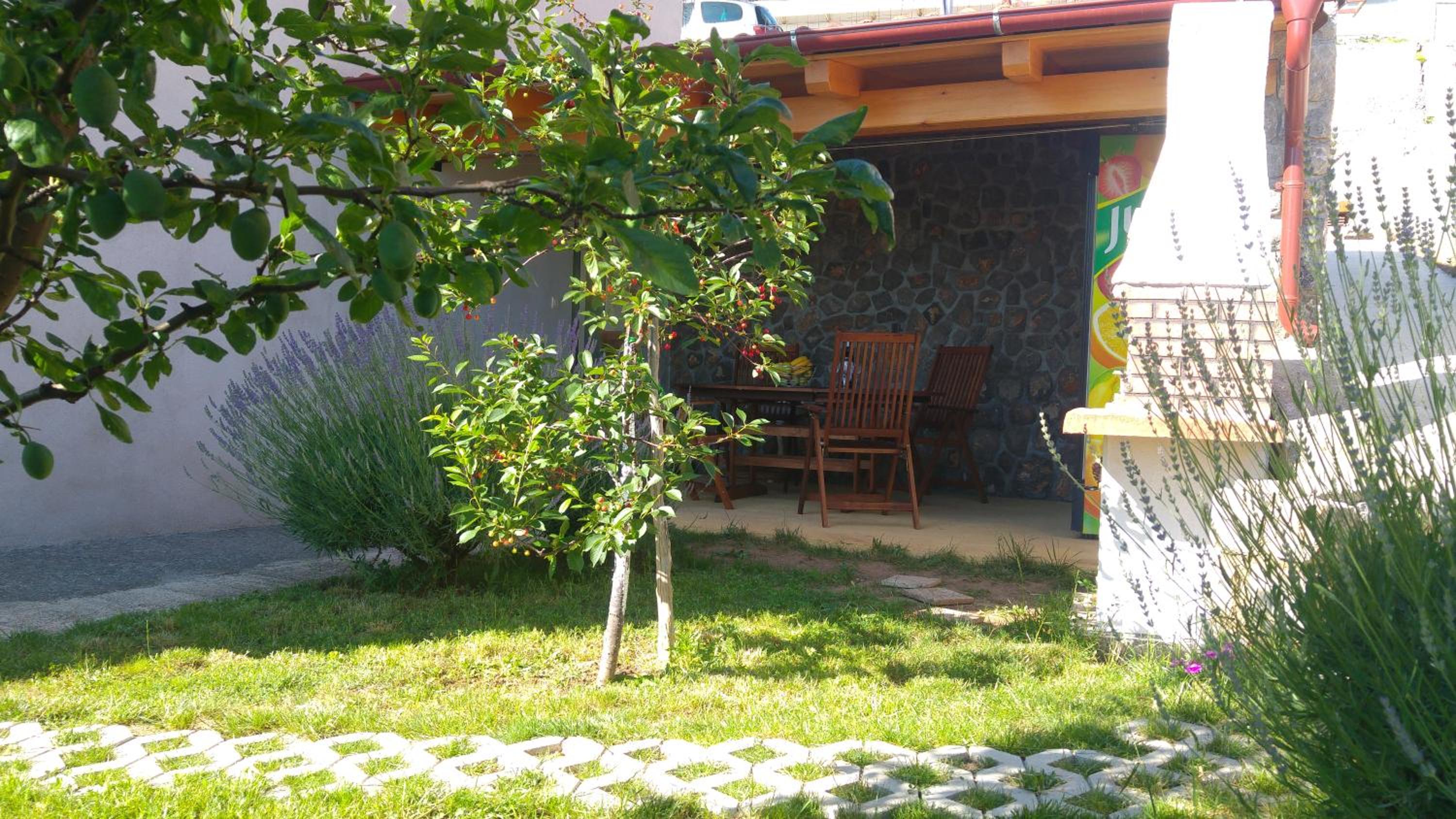 Apartments Antonio