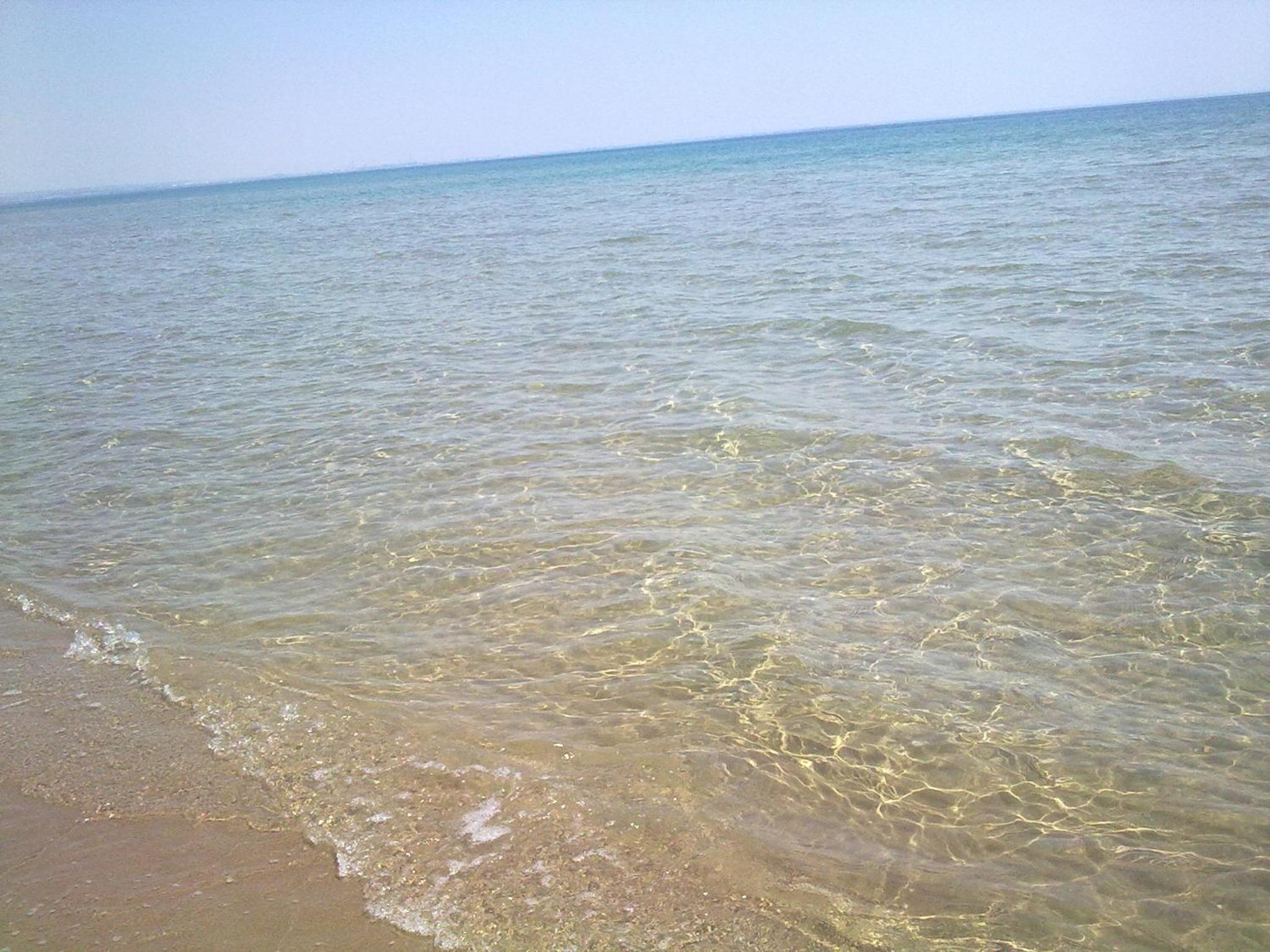 Photo 50