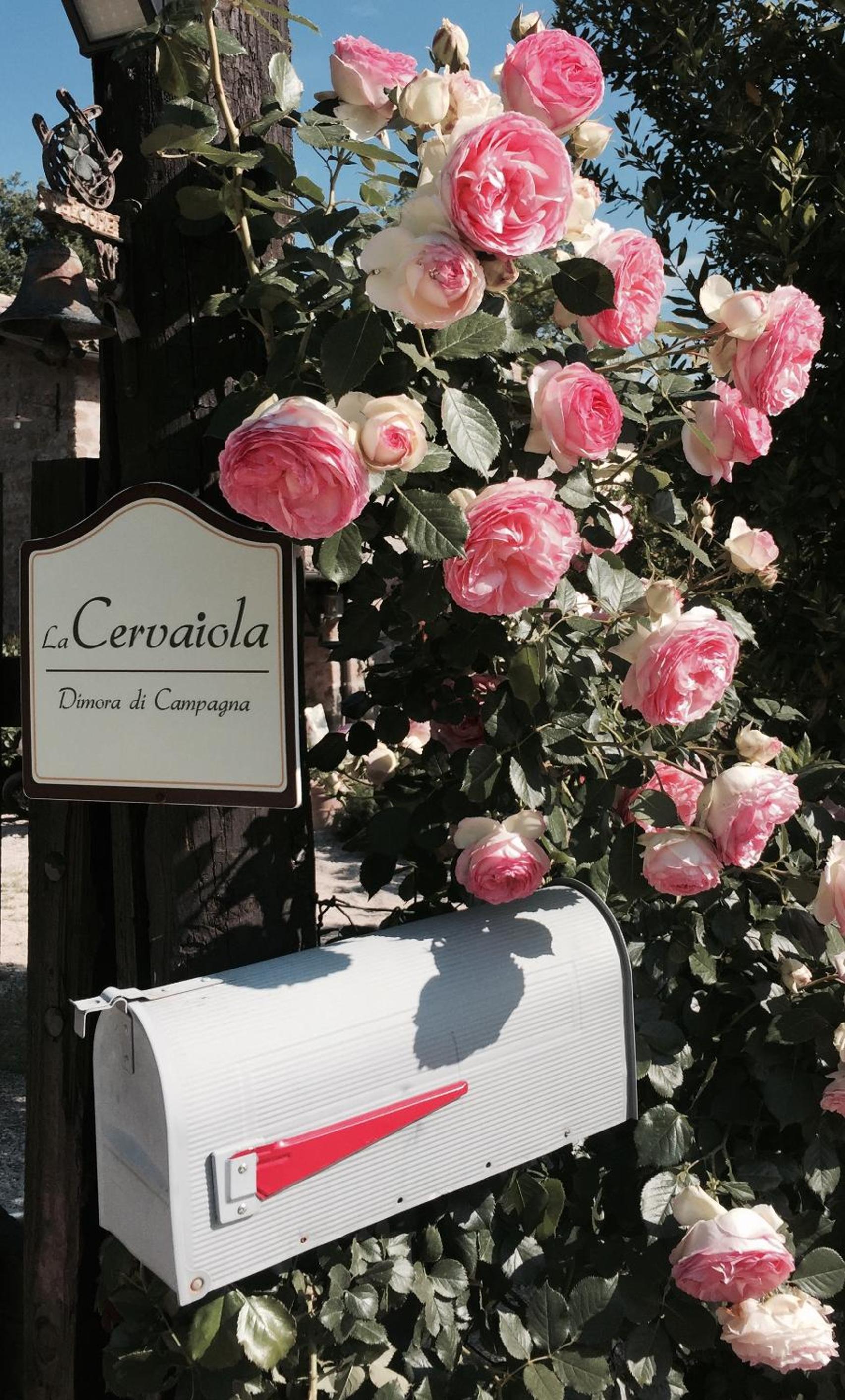 Agriturismo La Cervaiola Piccola dimora di Campagna
