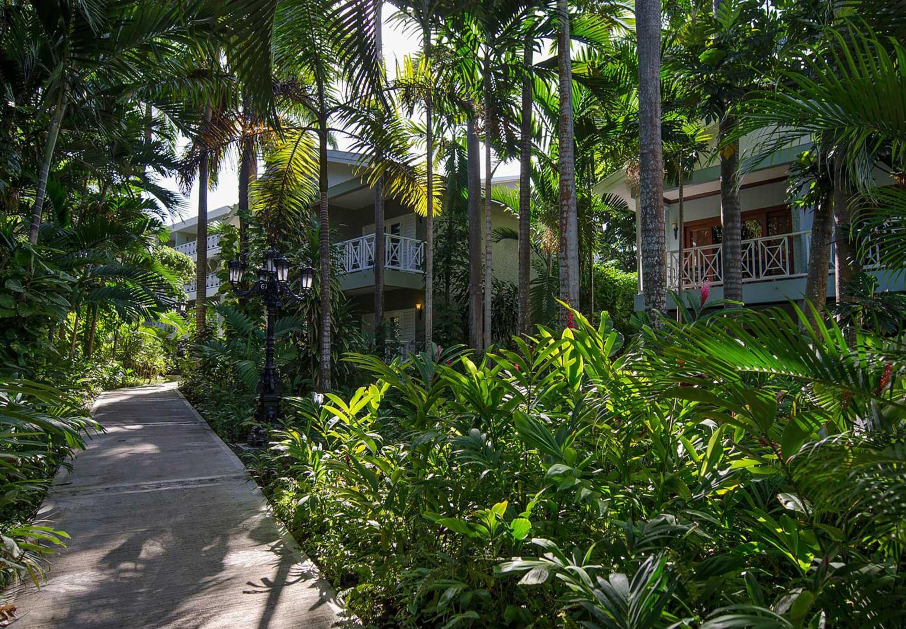 Sandals Ochi Beach All Inclusive Resort Adults Only — photo 78