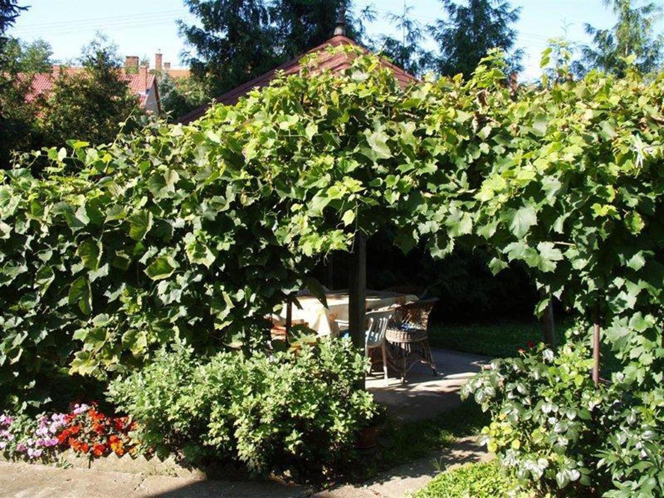 Photo 37