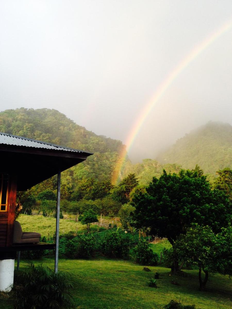Lemon House Monteverde - Property Image 6