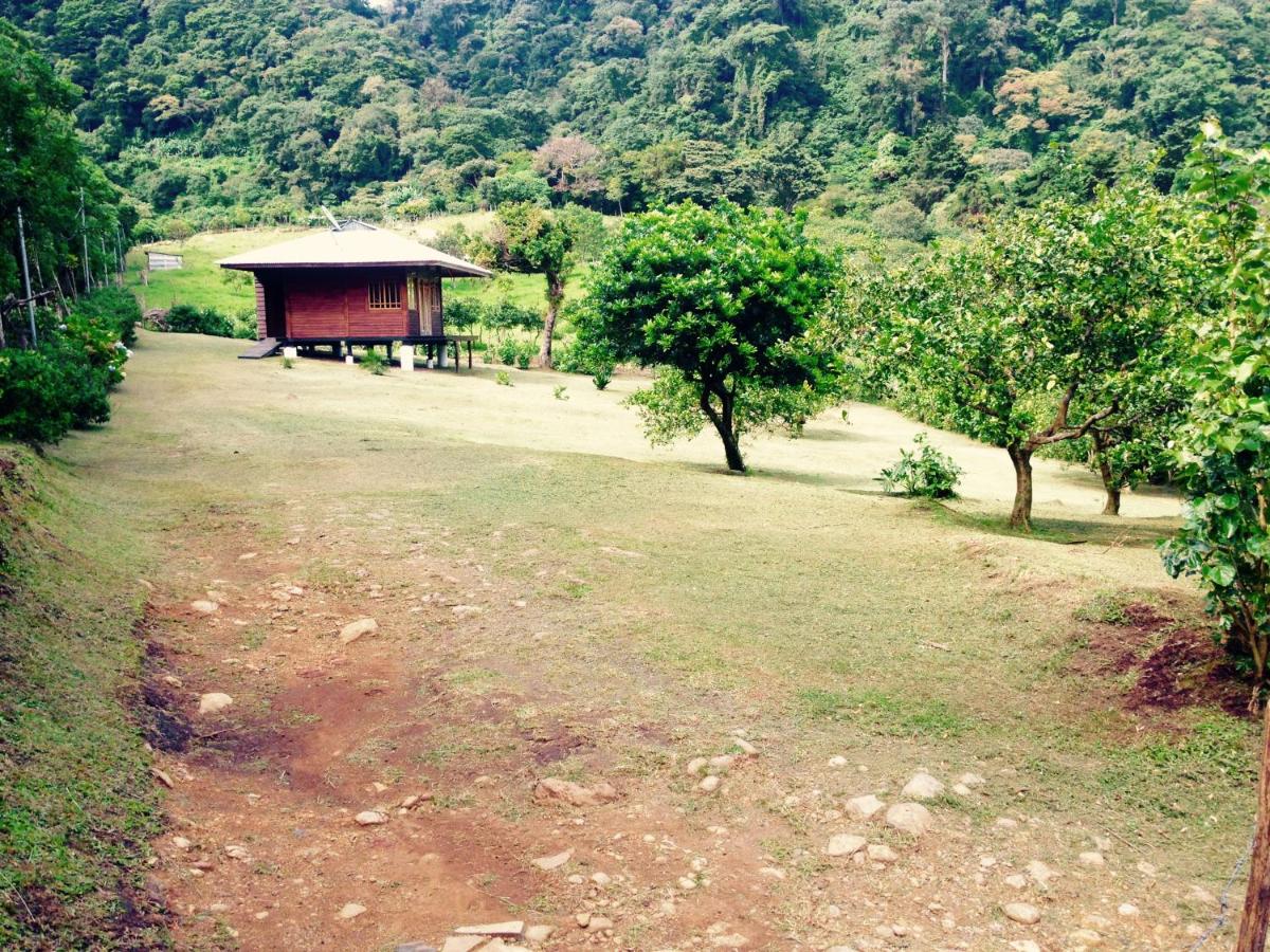 Lemon House Monteverde - Property Image 3