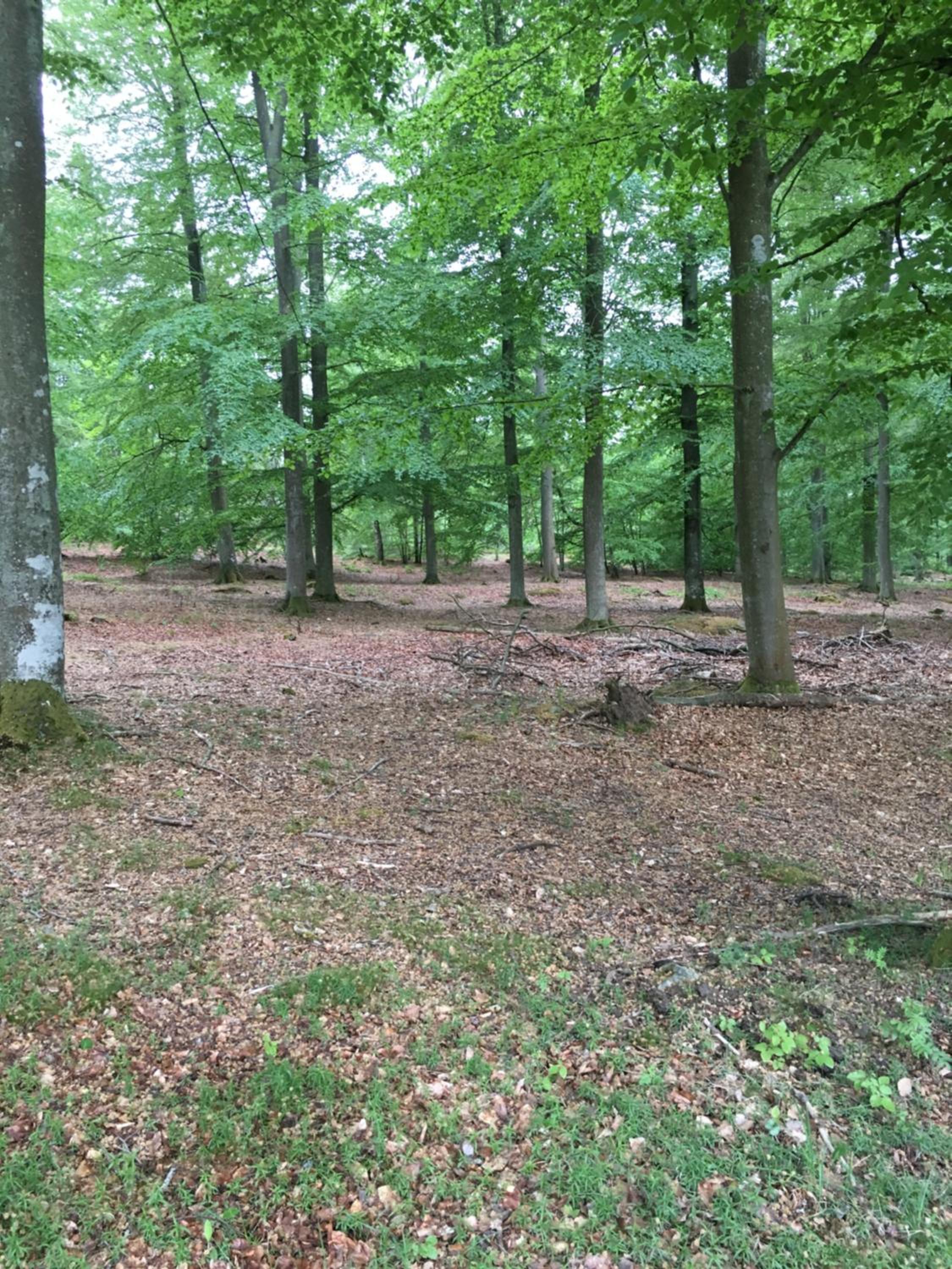 Photo 47