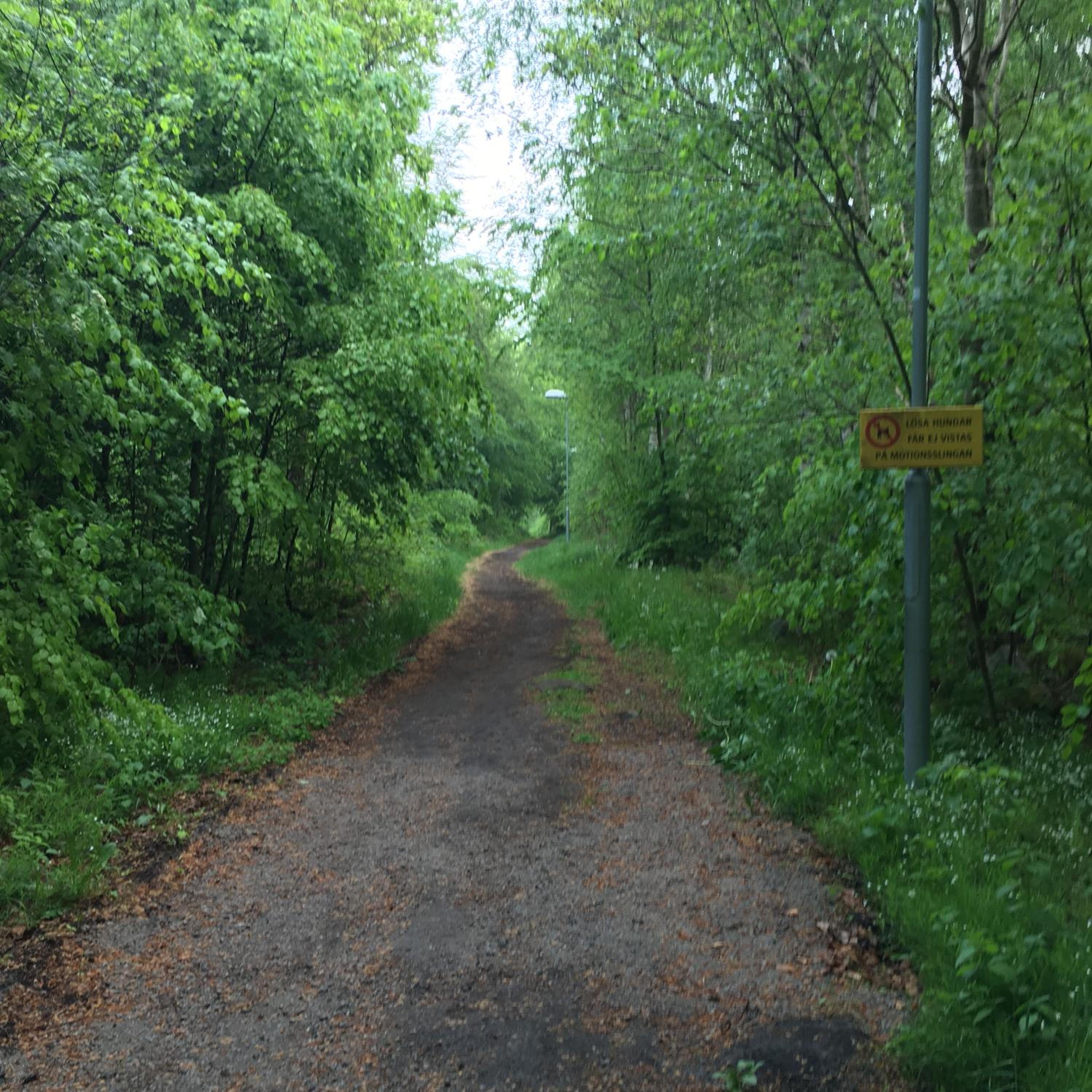 Photo 45