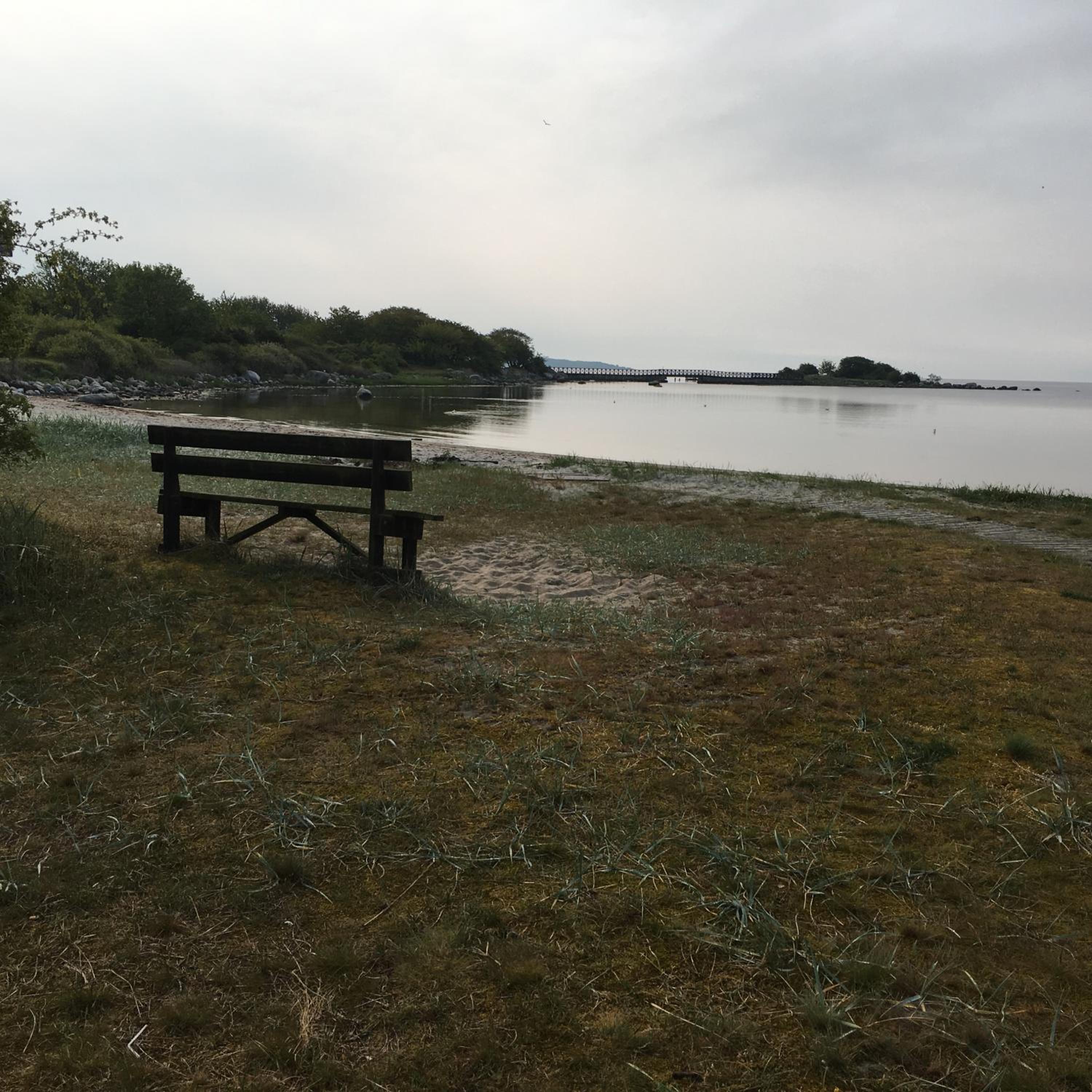Photo 32