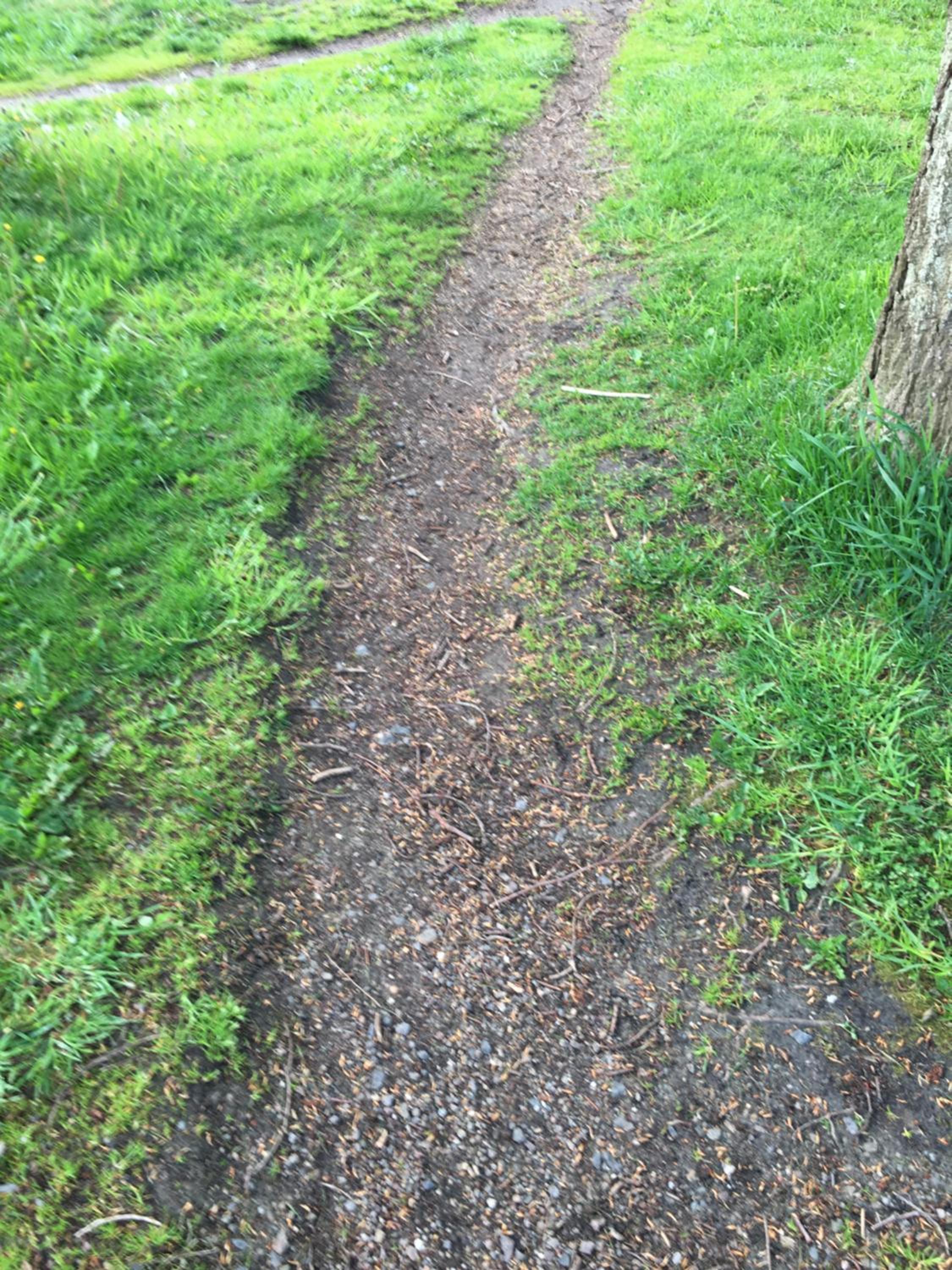 Photo 43