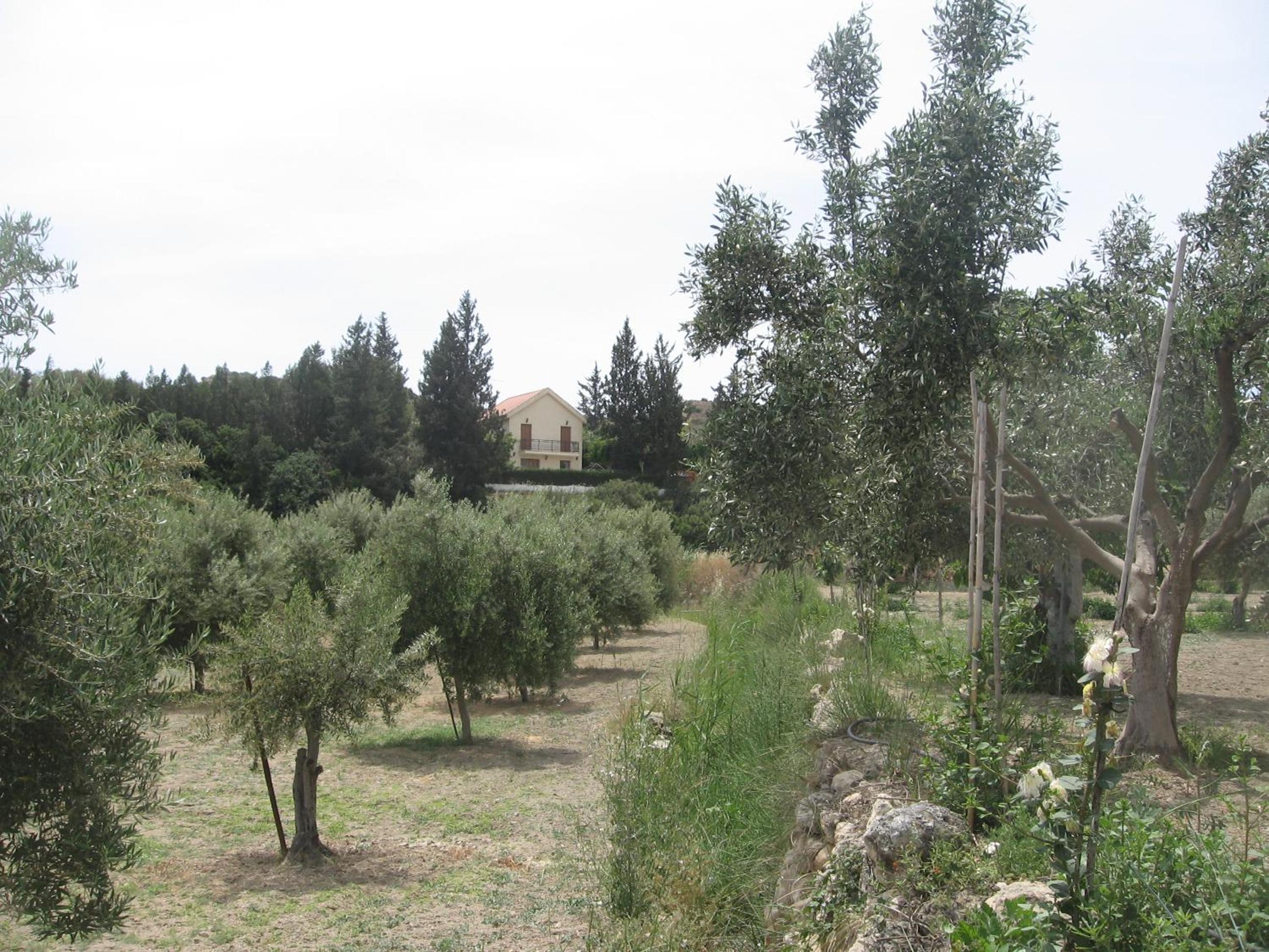 Photo 53
