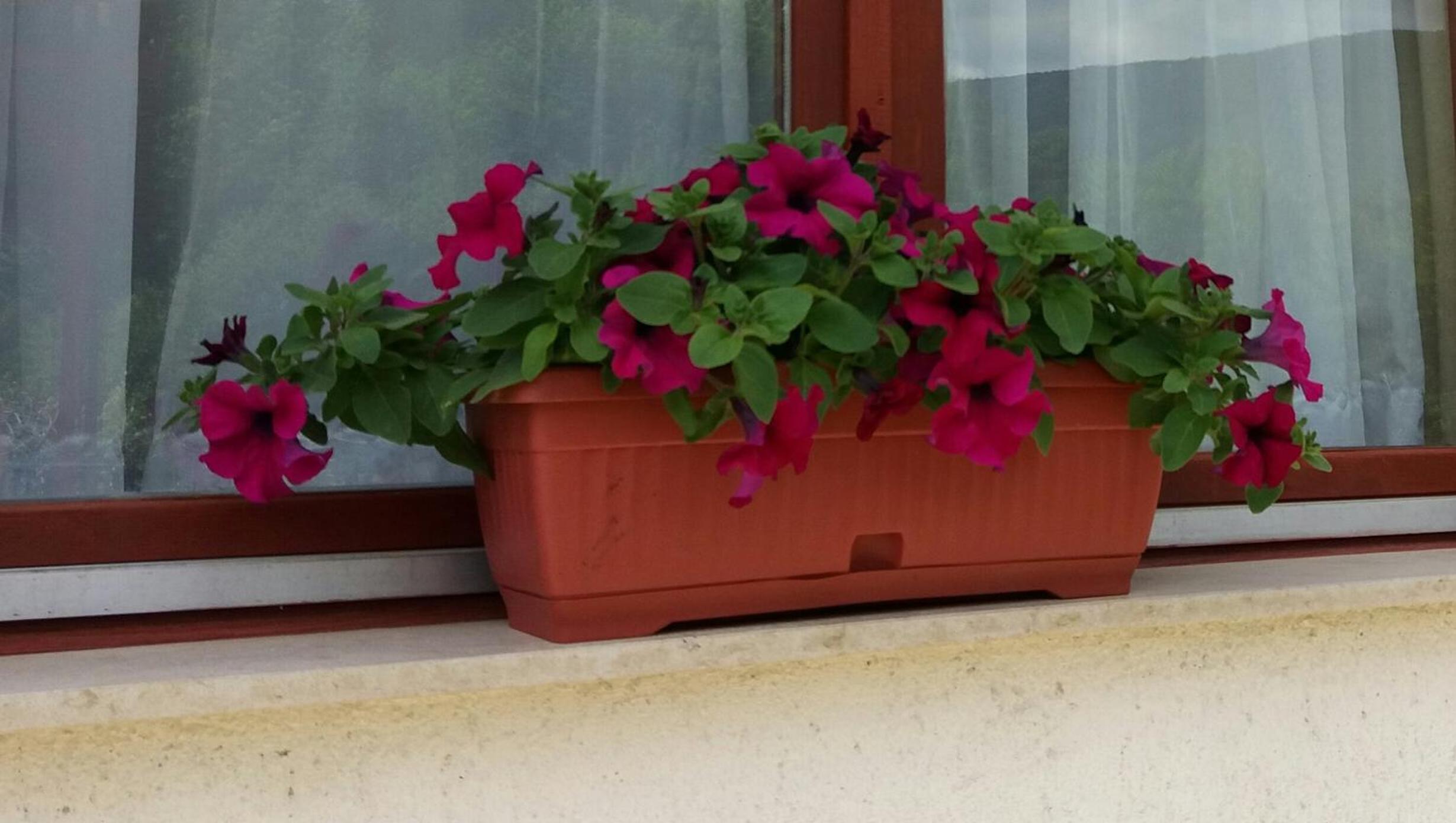 Apartment Una Strbacki Buk