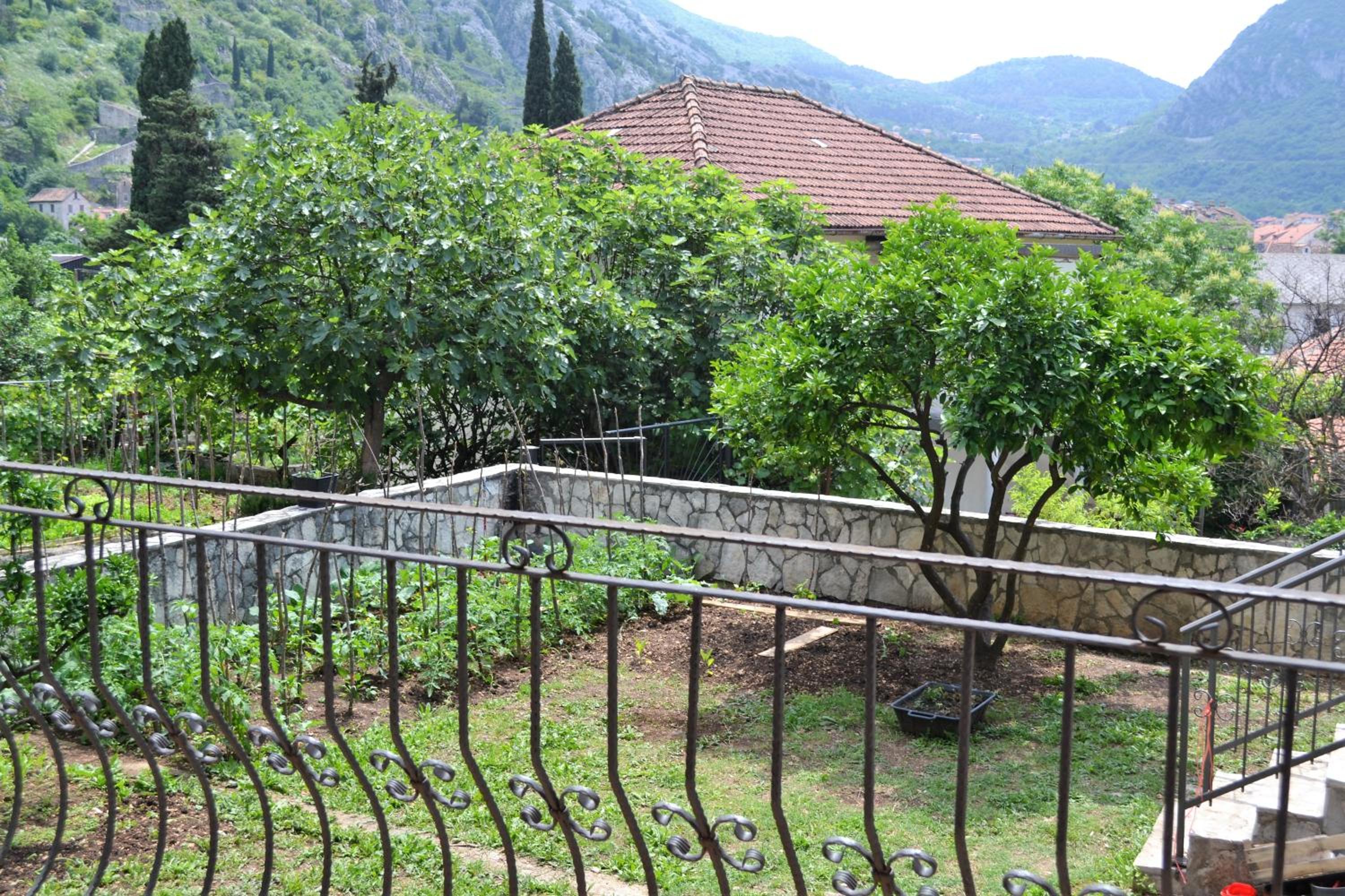 Apartments Villa Marta - Begovic