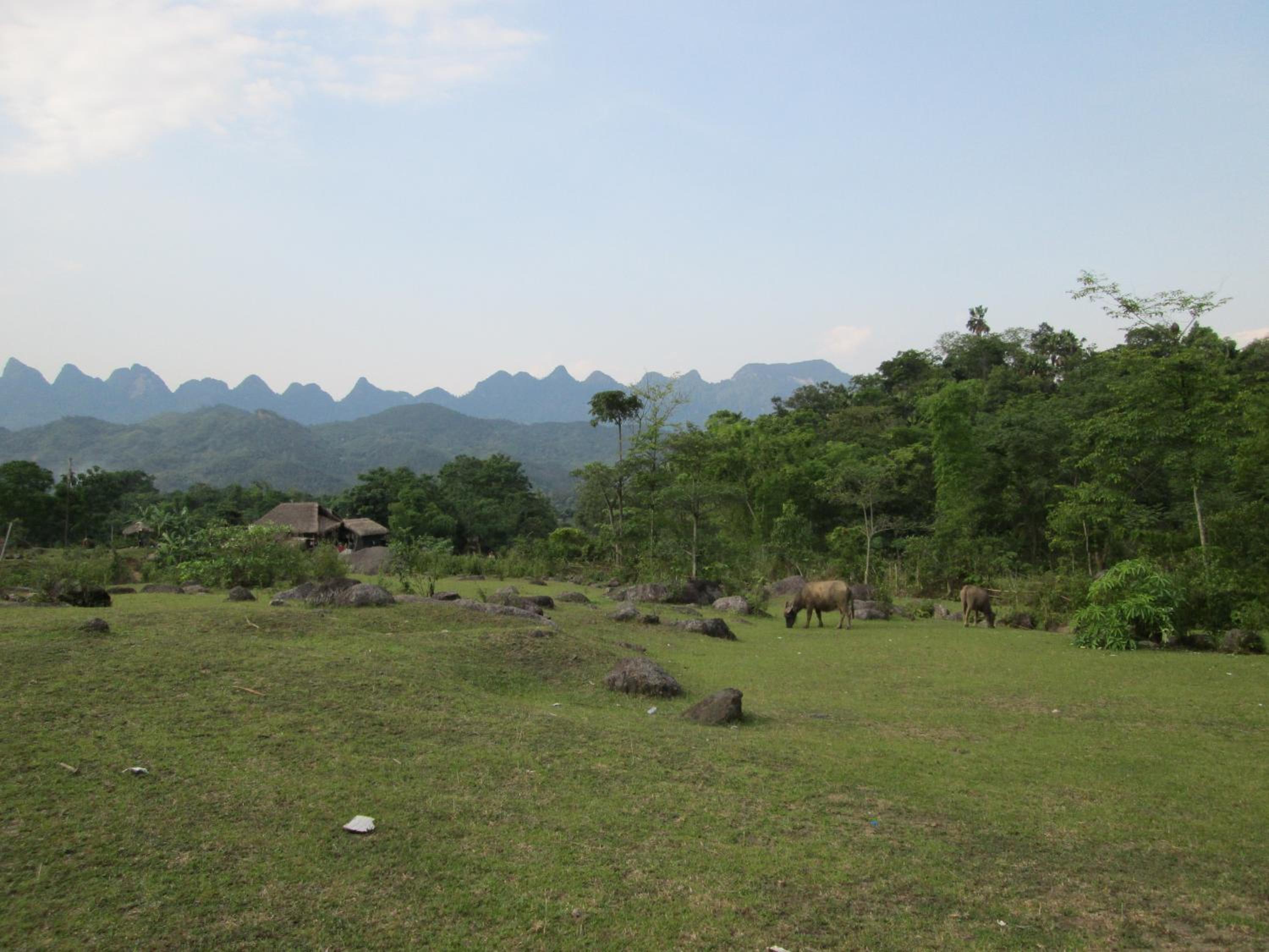 Photo 49
