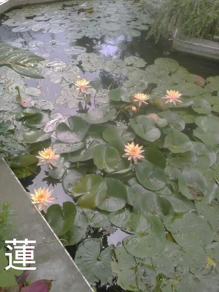 Taitung Linyuan B&B