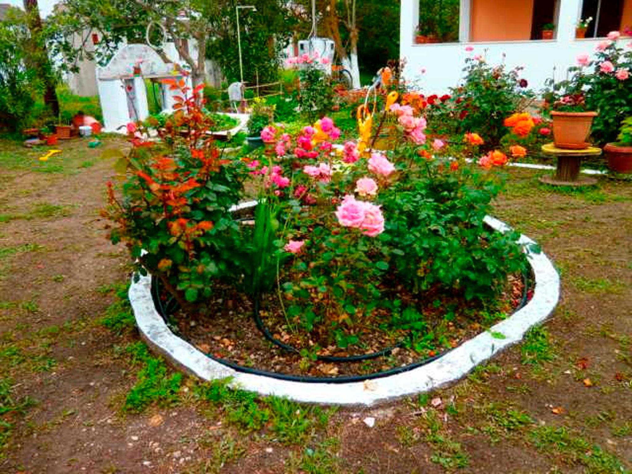Photo 20