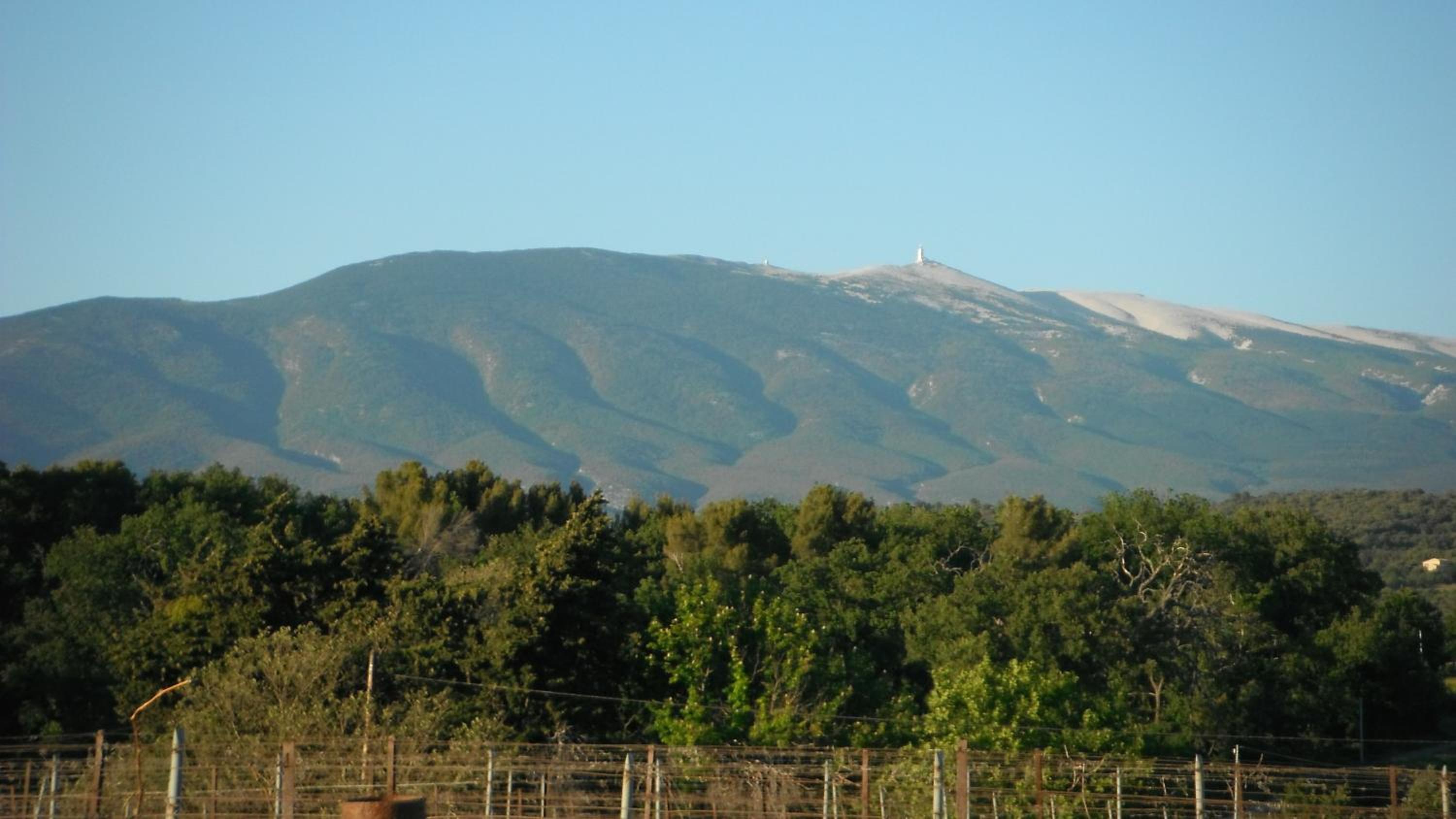 Photo 49