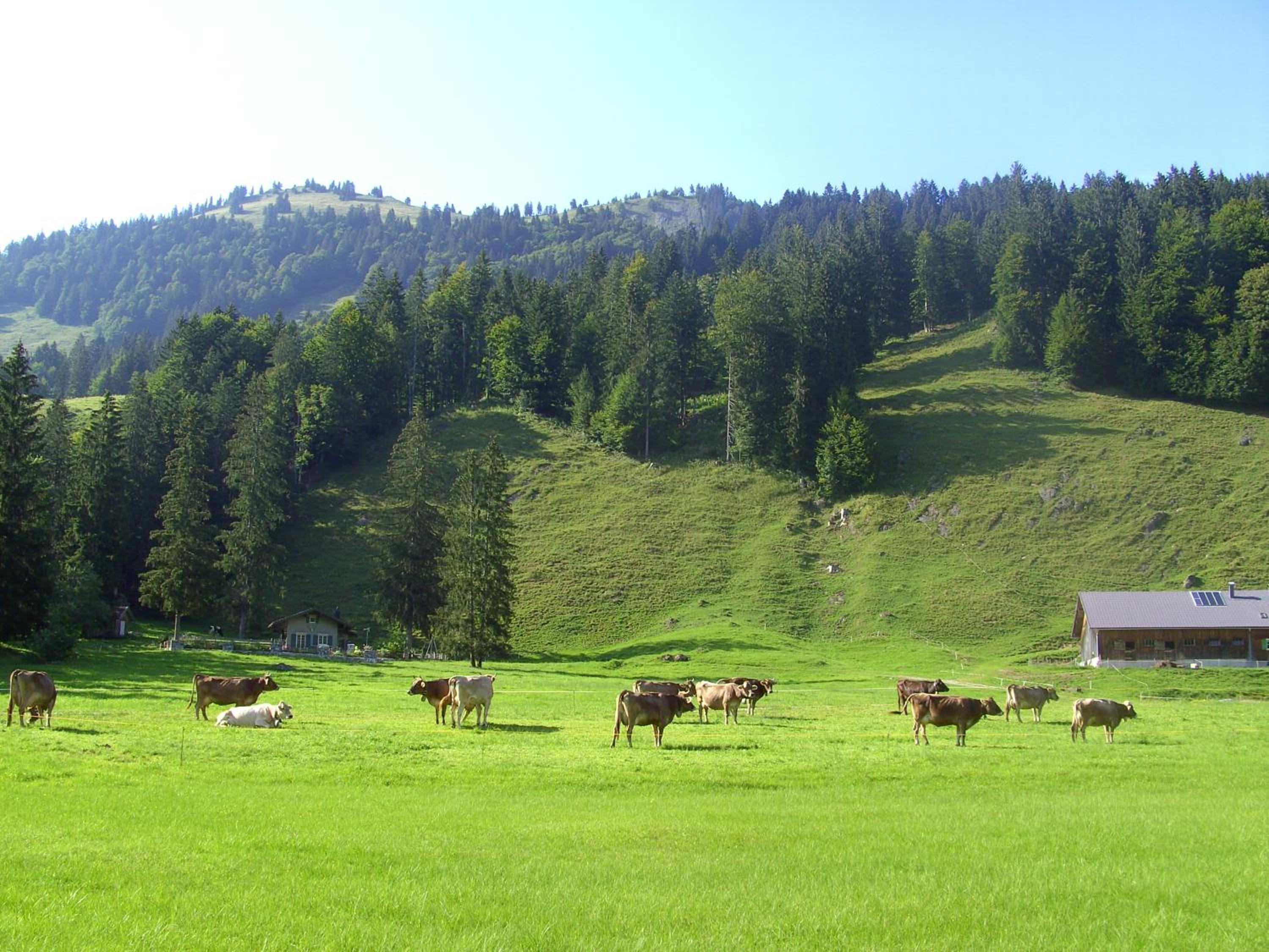 Gästehaus Lutz