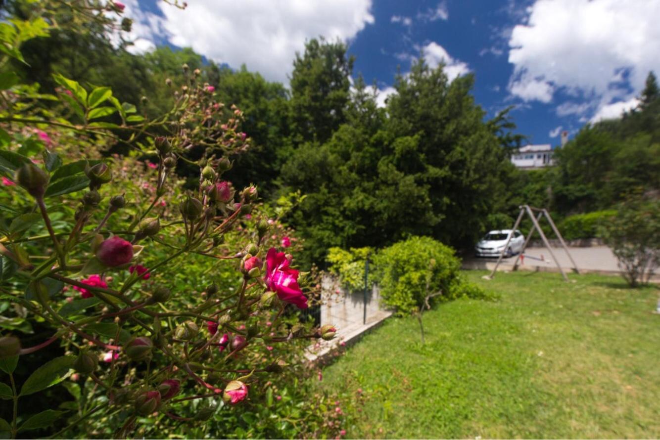 Apartman Fortica view 3