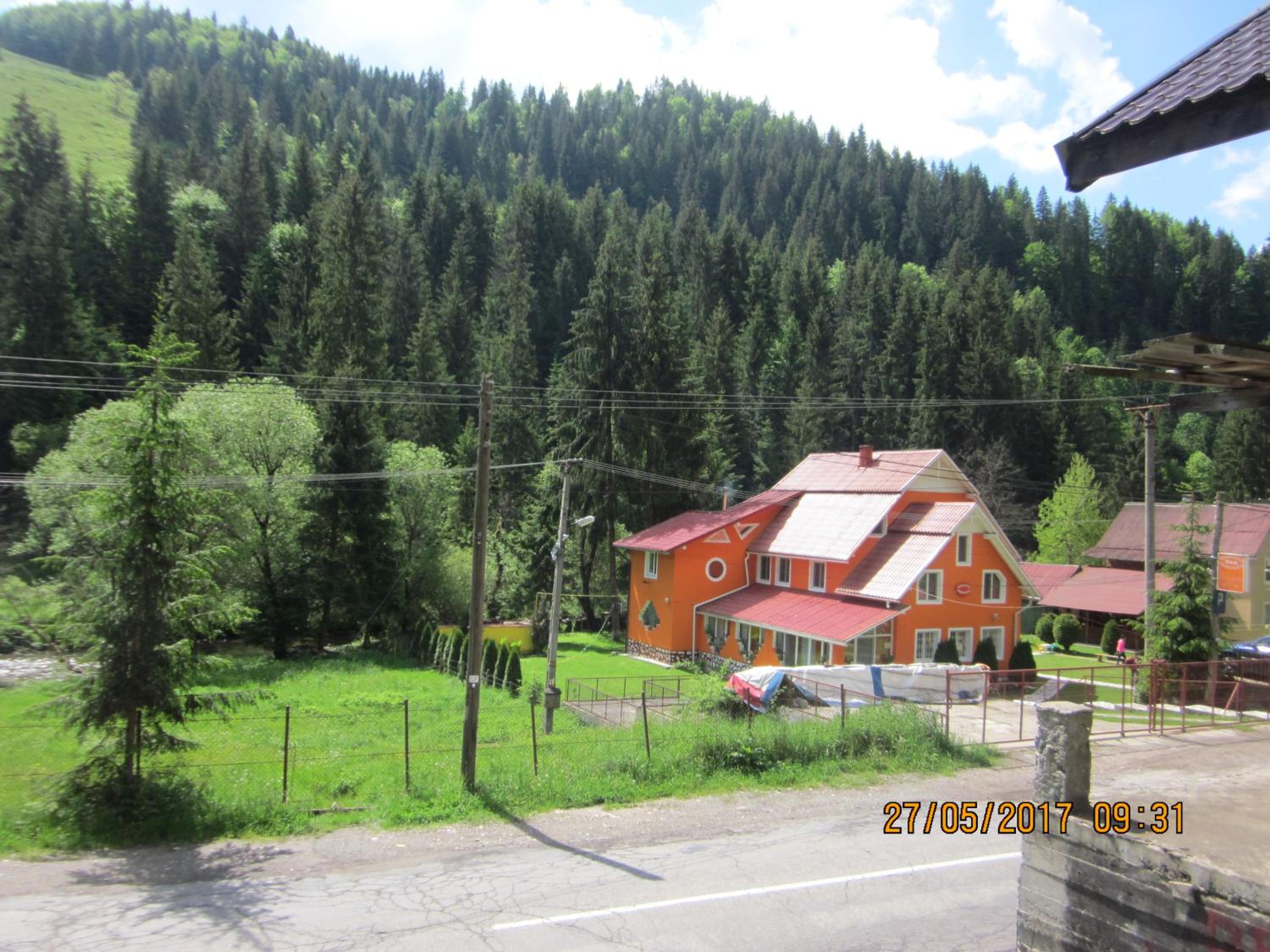 Photo 44