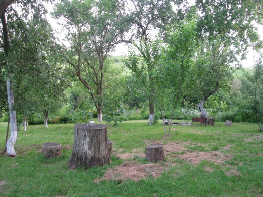 Photo 23