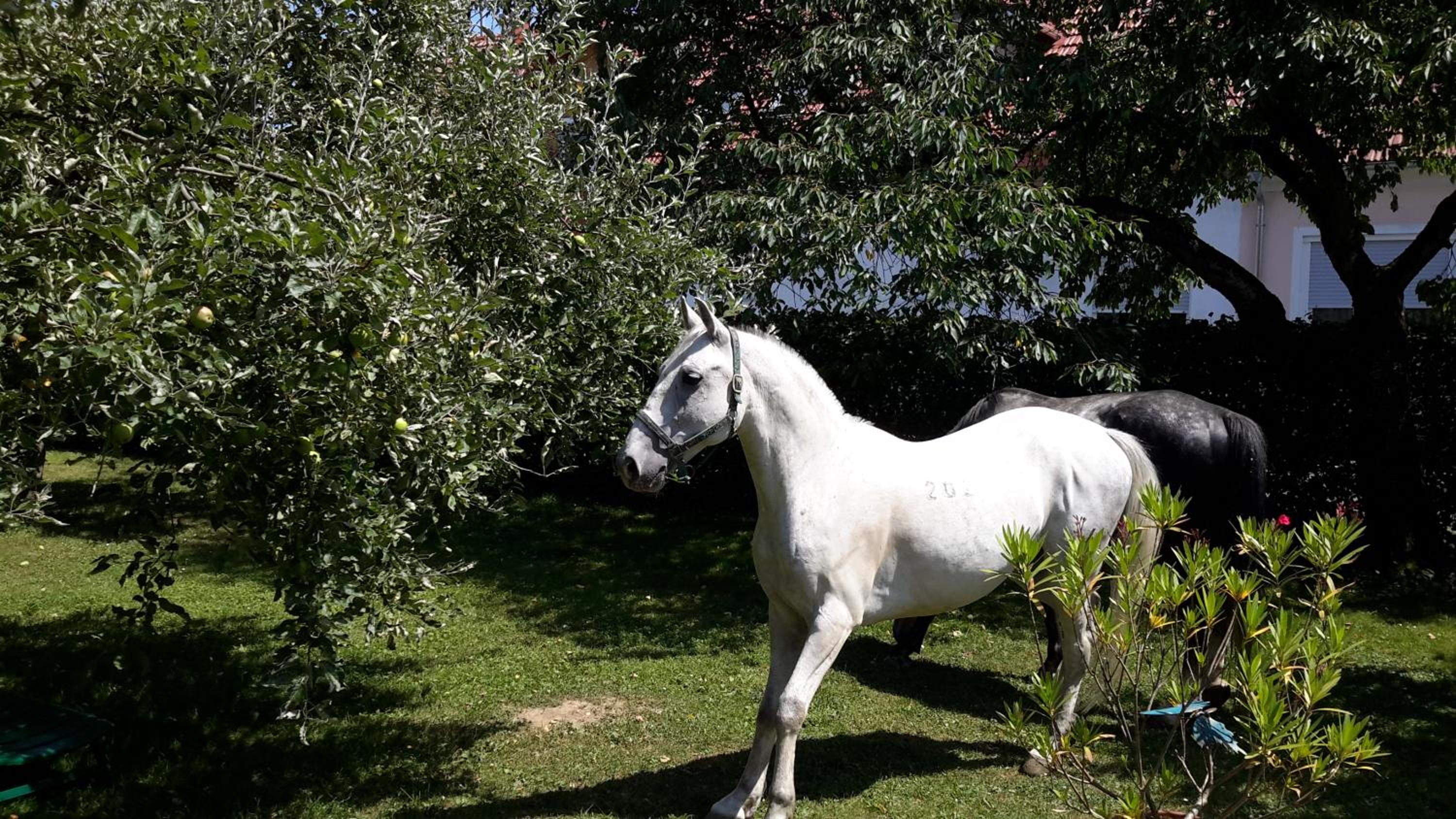 Gut Hanneshof