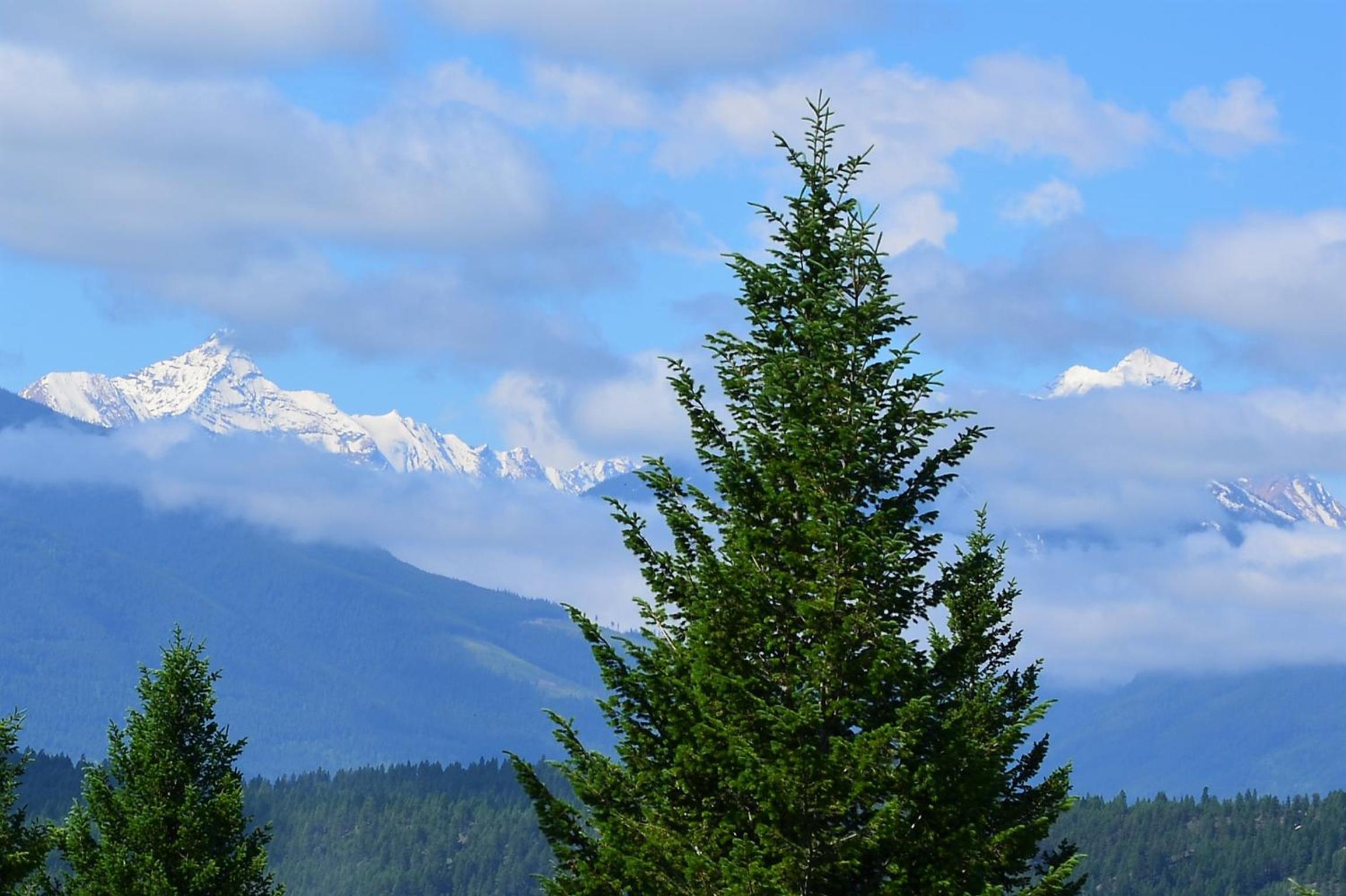 Mountain View Radium Condo - Copper Horn Village