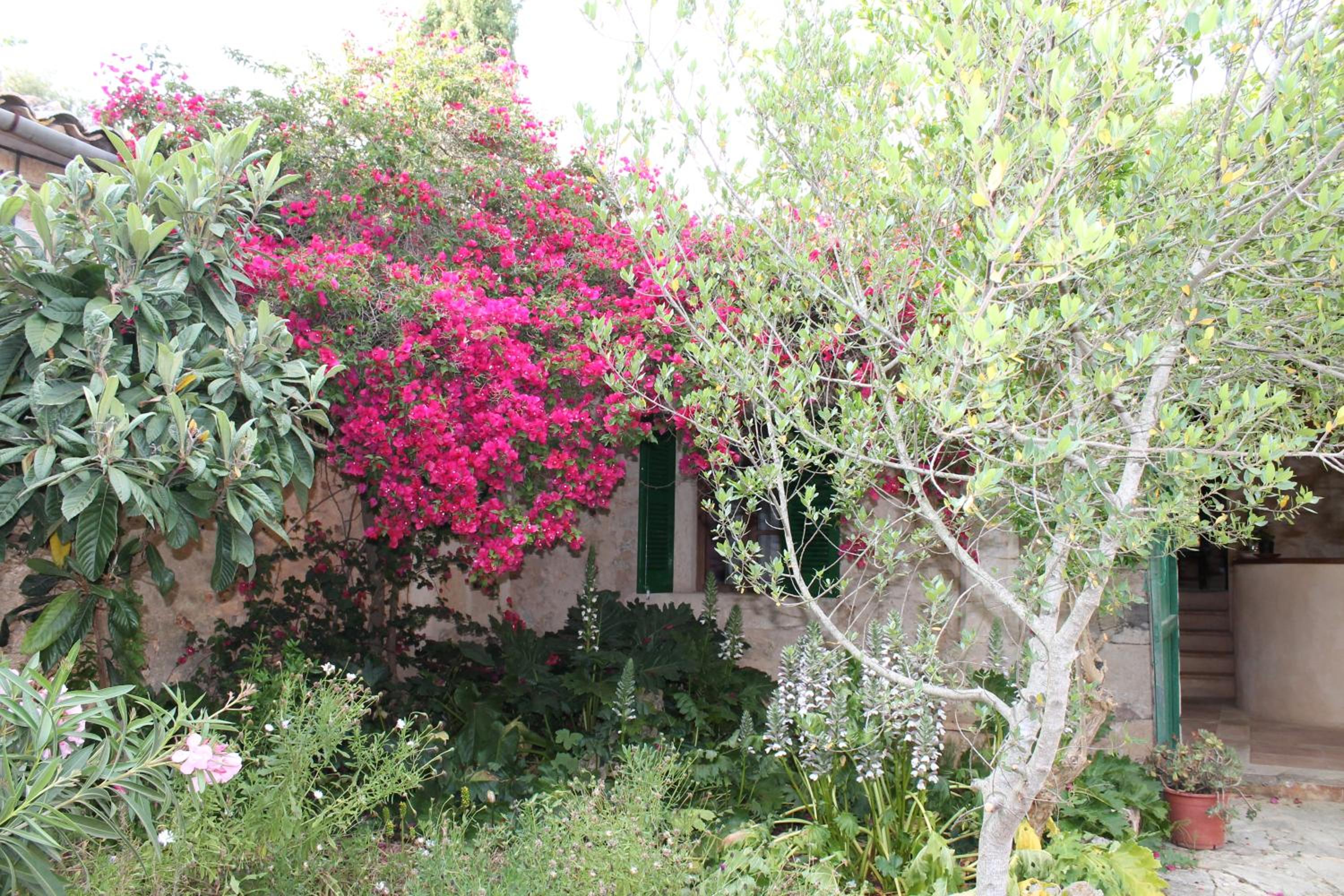 Sa Casa Rotja