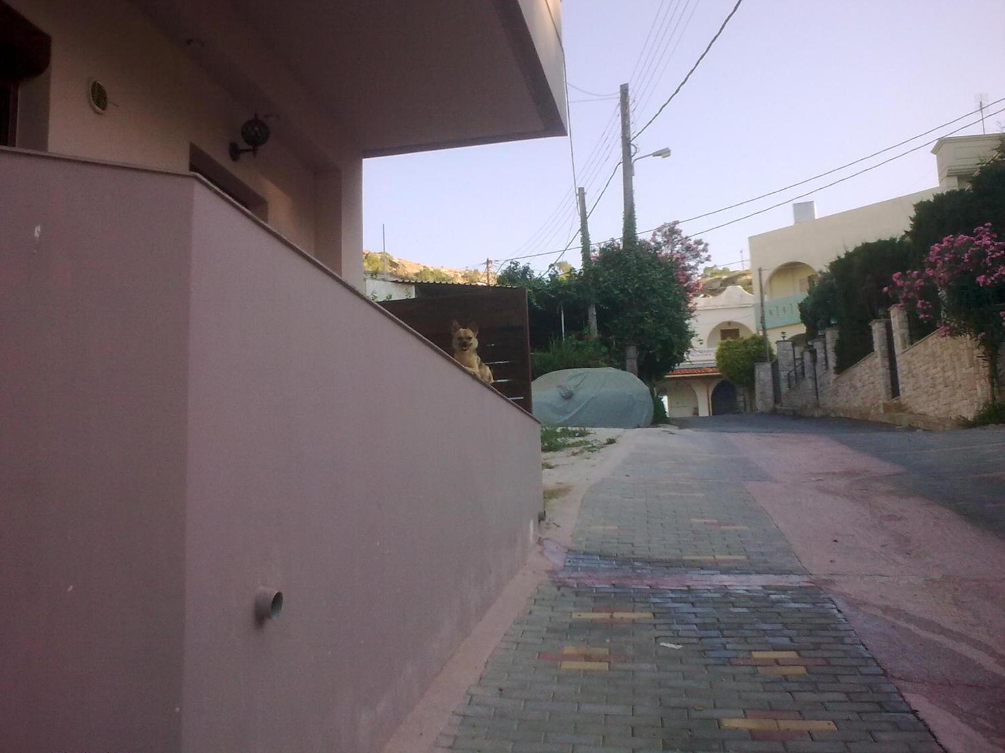 Photo 52