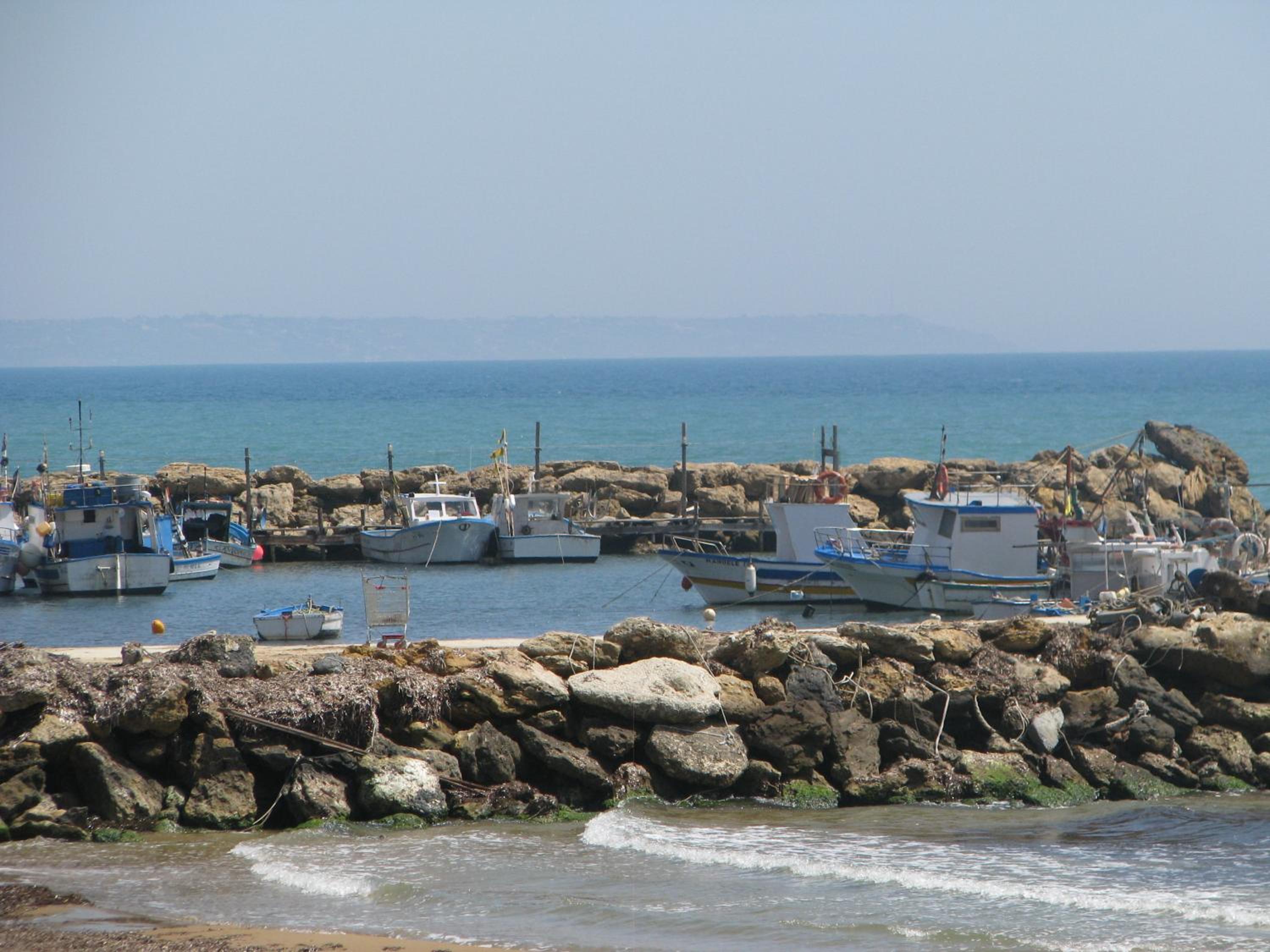 Photo 19